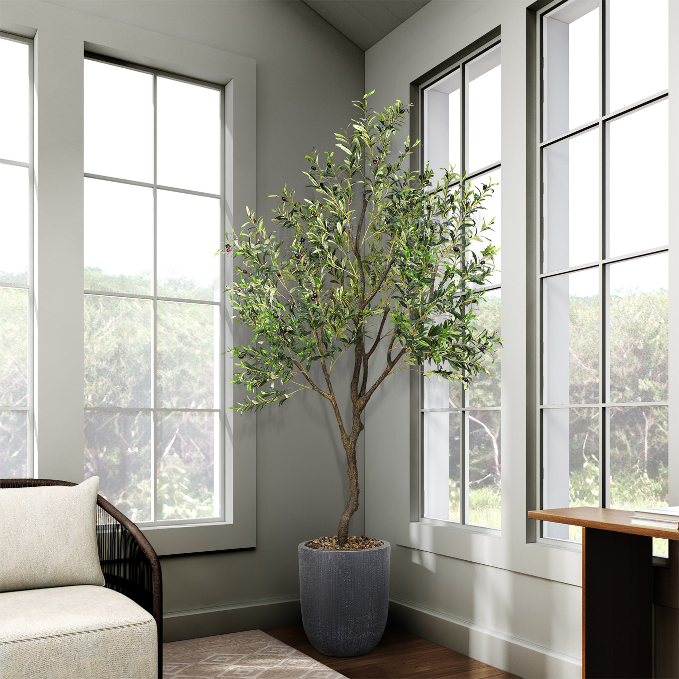 DW Silks Olive Tree 8′ — Campbell Planter