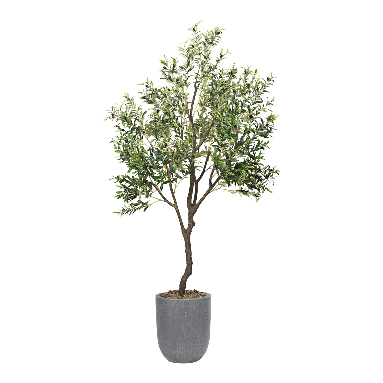 DW Silks Olive Tree 8′ — Campbell Planter