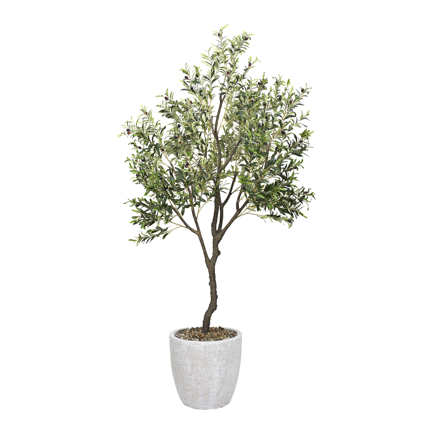 DW Silks Olive Tree 8′ — White Hudson Planter