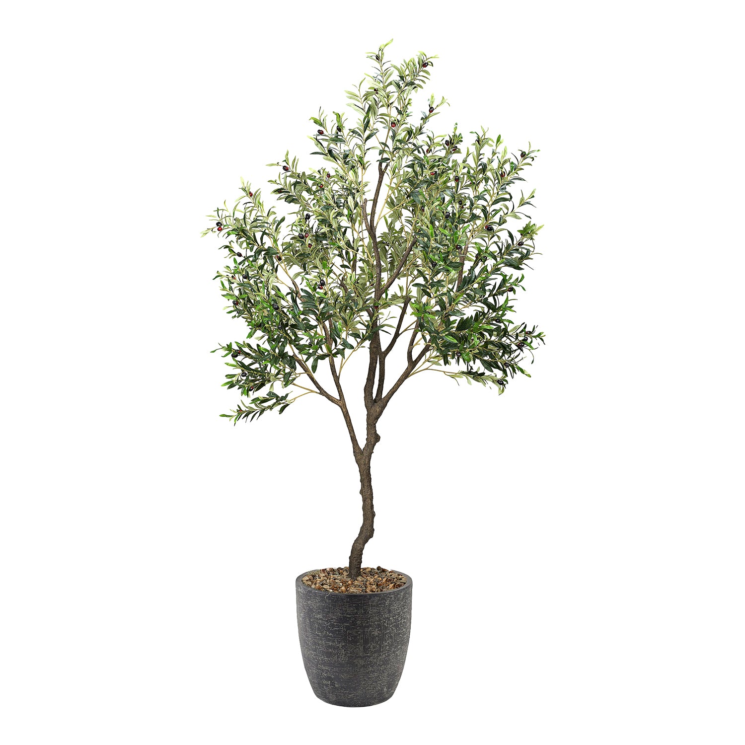 DW Silks Olive Tree 8′ — Black Hudson Planter