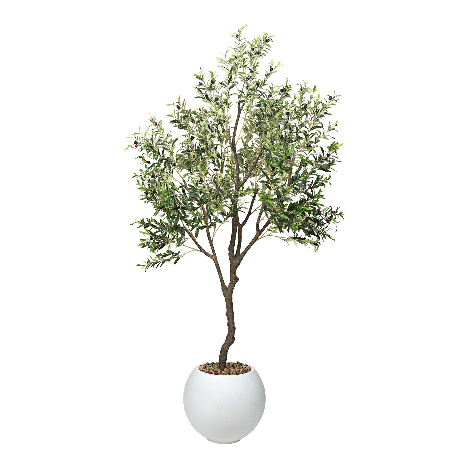 DW Silks Olive Tree 8′ — White Porter Planter