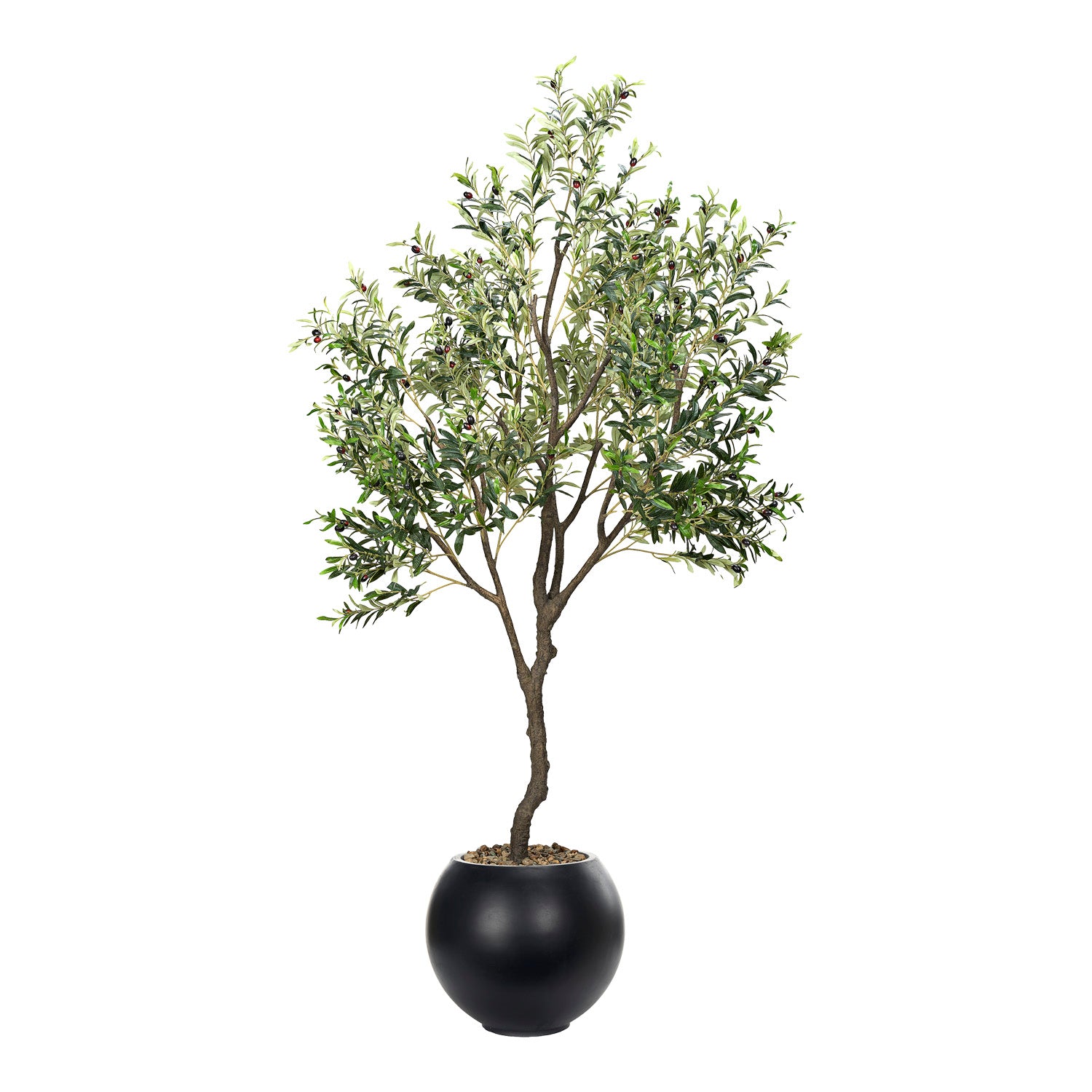 DW Silks Olive Tree 8′ — Black Porter Planter