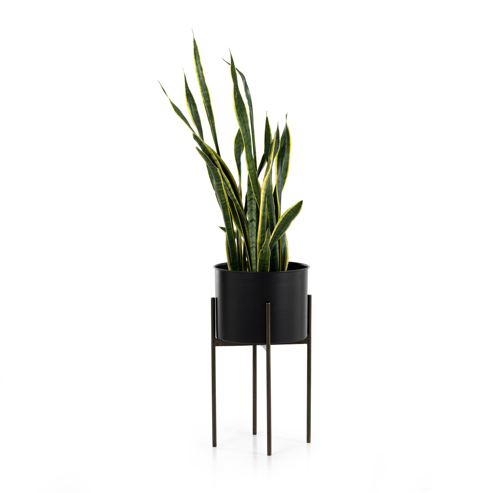 Four Hands Jed Planter — Iron Matte Black-Weathered Brass