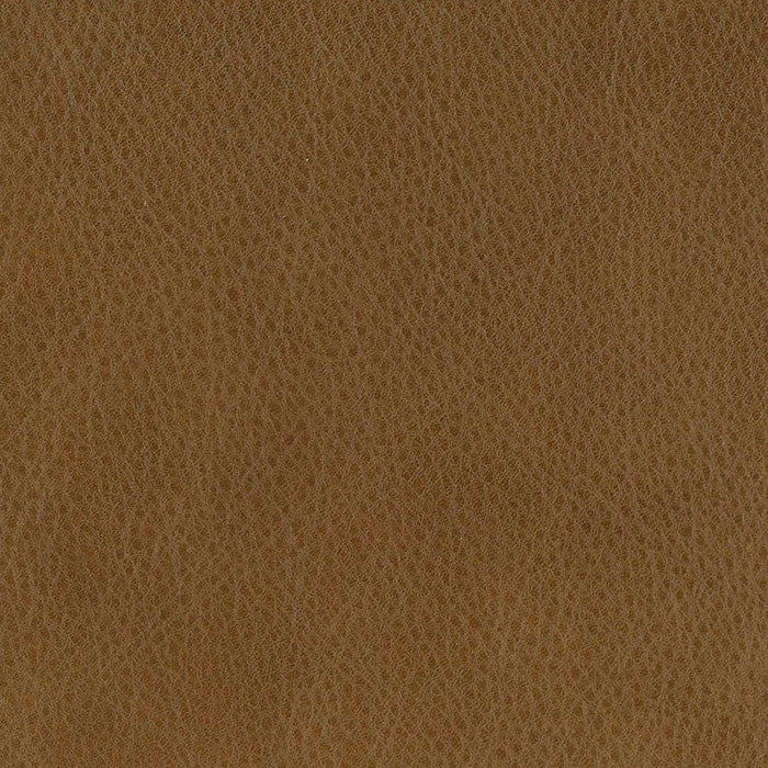 Brown leather texture swatch
