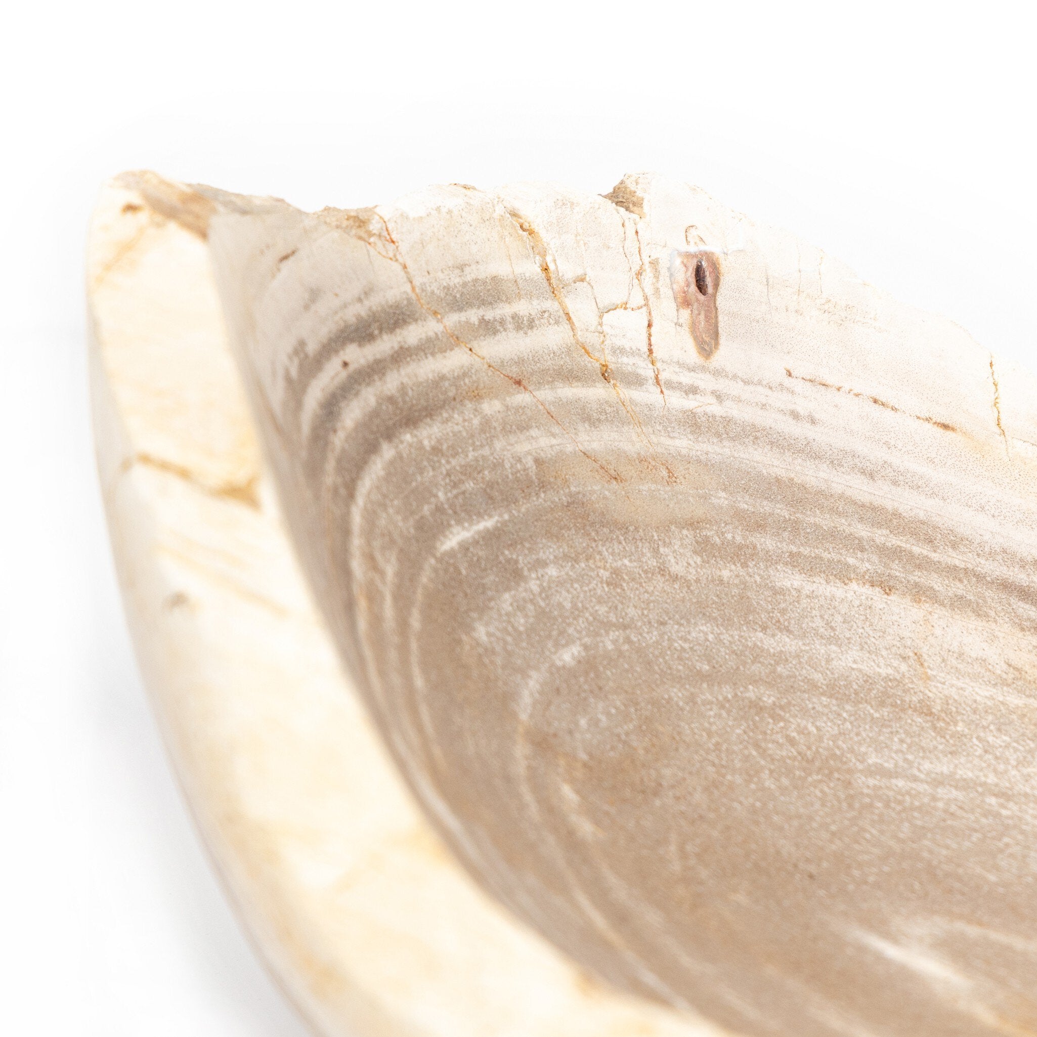 Four Hands Oval Petrified Wood Bowl — Light Petrified Wood
