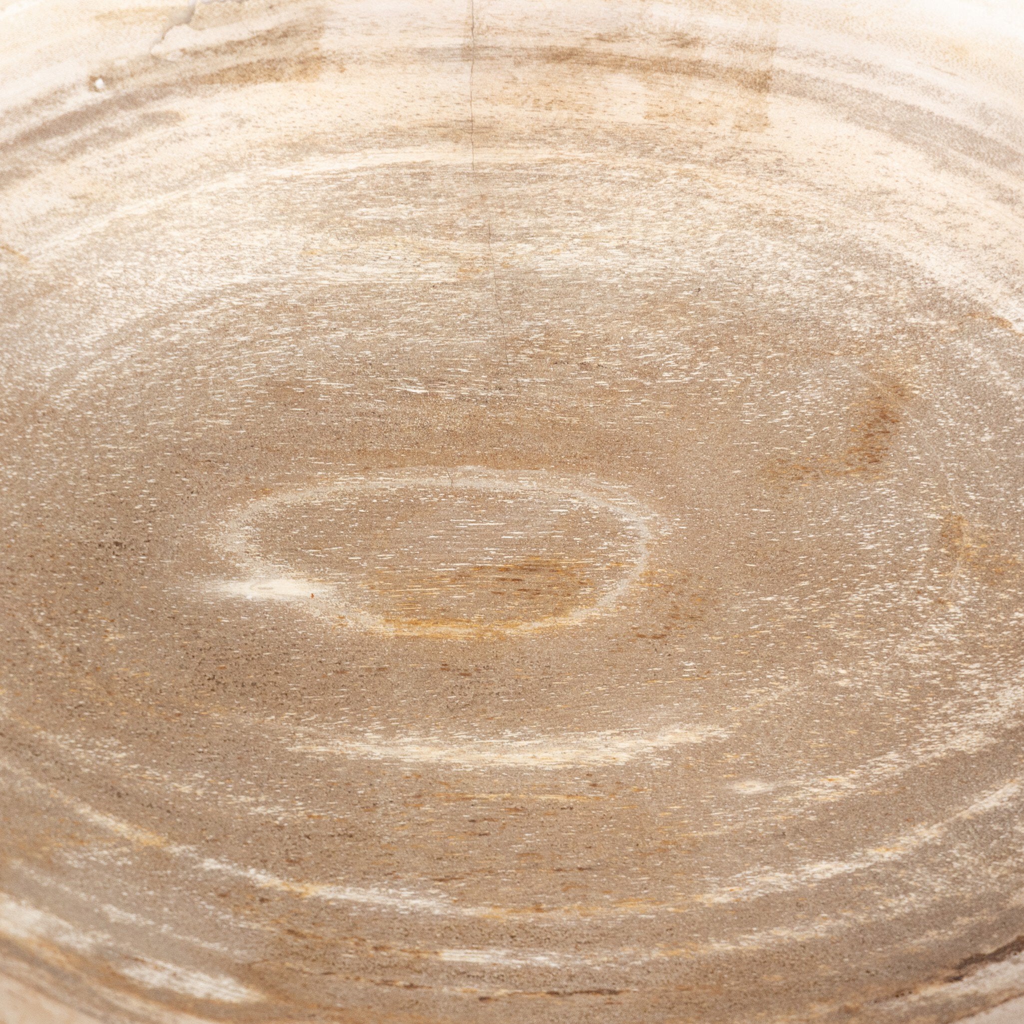 Four Hands Oval Petrified Wood Bowl — Light Petrified Wood