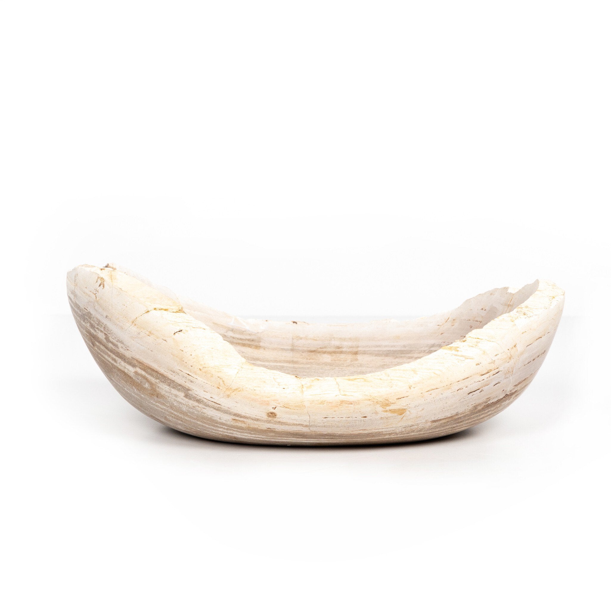 Four Hands Oval Petrified Wood Bowl — Light Petrified Wood