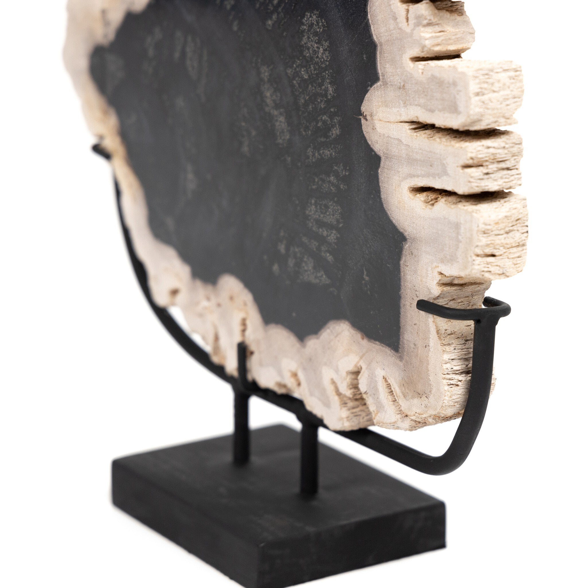 Four Hands Petrified Wood Sculpture — Dark Petrified Wood-Matte Black Iron