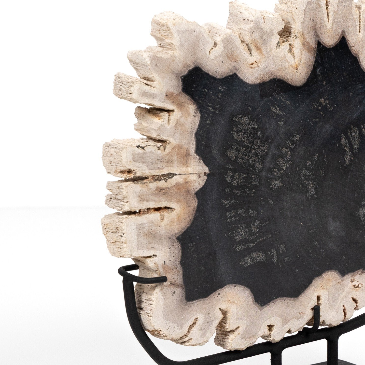 Four Hands Petrified Wood Sculpture — Dark Petrified Wood-Matte Black Iron