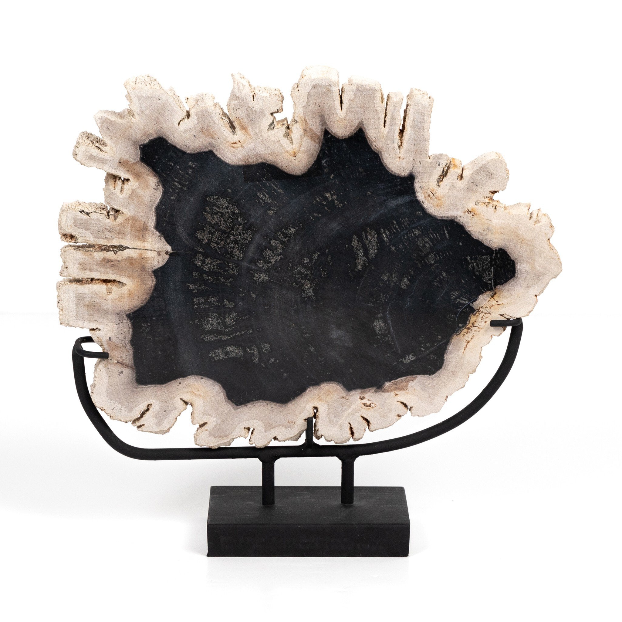 Four Hands Petrified Wood Sculpture — Dark Petrified Wood-Matte Black Iron