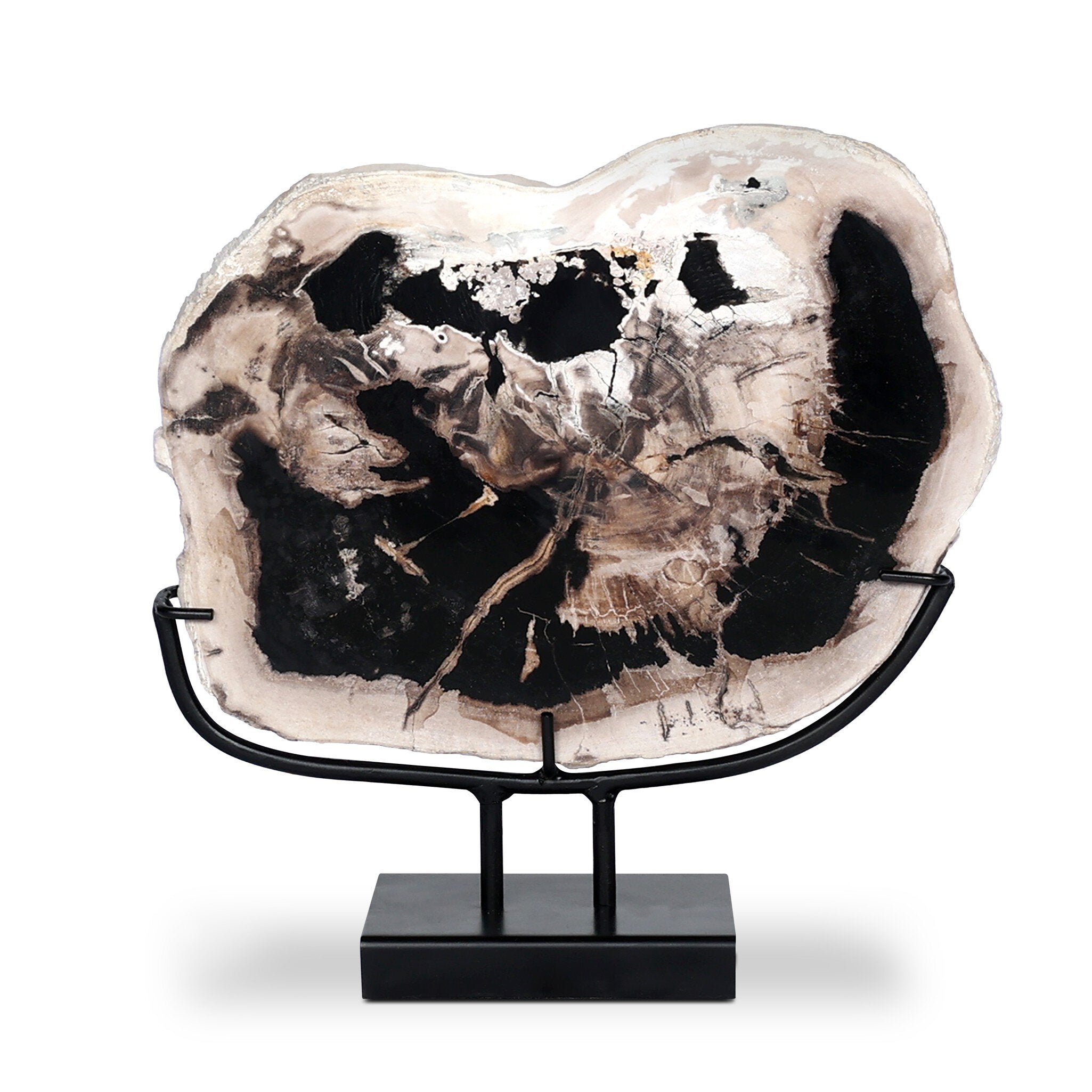 Four Hands Petrified Wood Sculpture — Dark Petrified Wood-Matte Black Iron