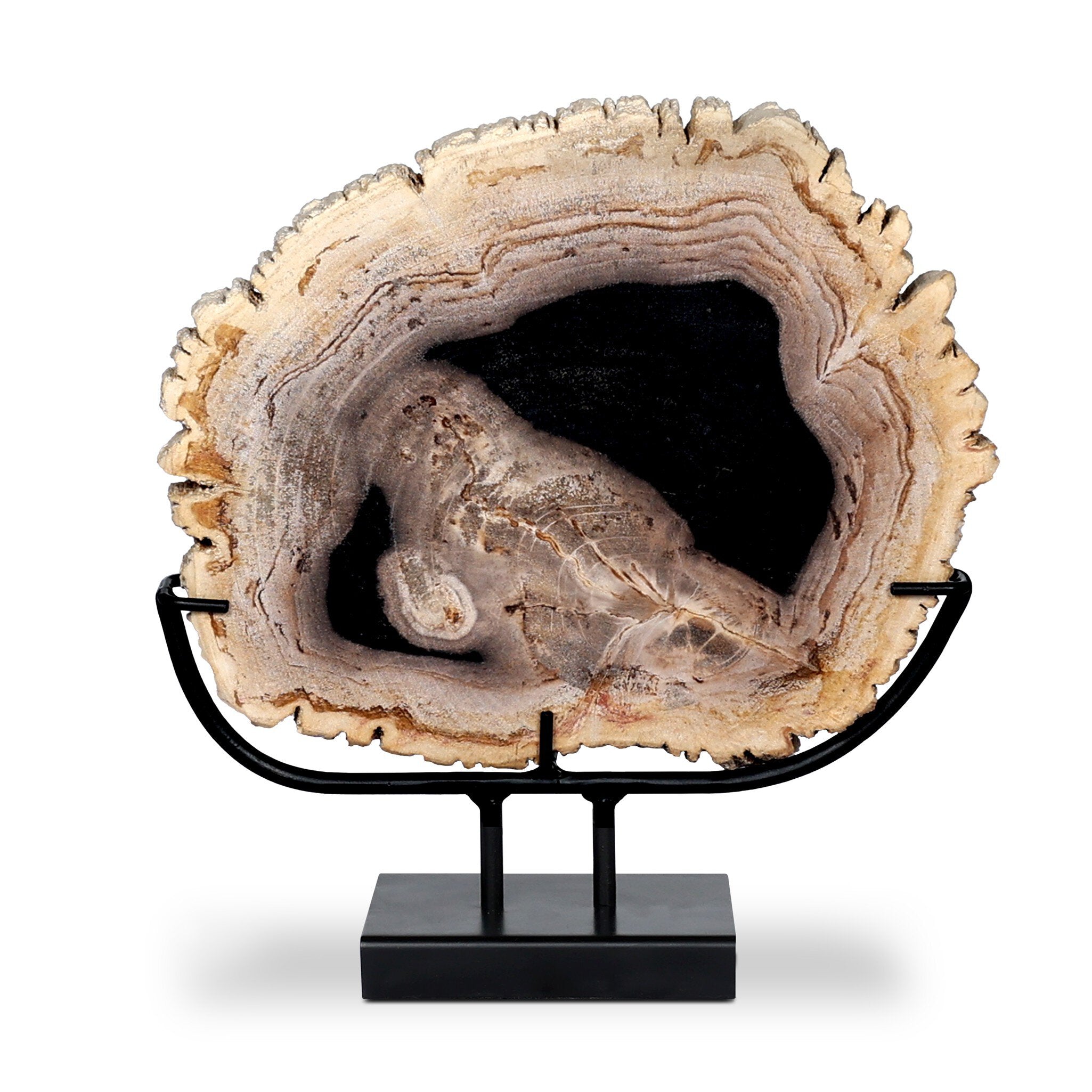 Four Hands Petrified Wood Sculpture — Dark Petrified Wood-Matte Black Iron