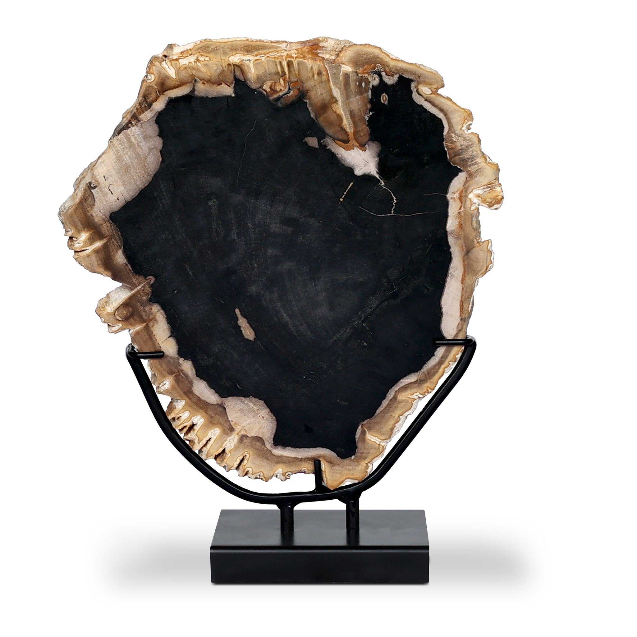 Four Hands Petrified Wood Sculpture — Dark Petrified Wood-Matte Black Iron