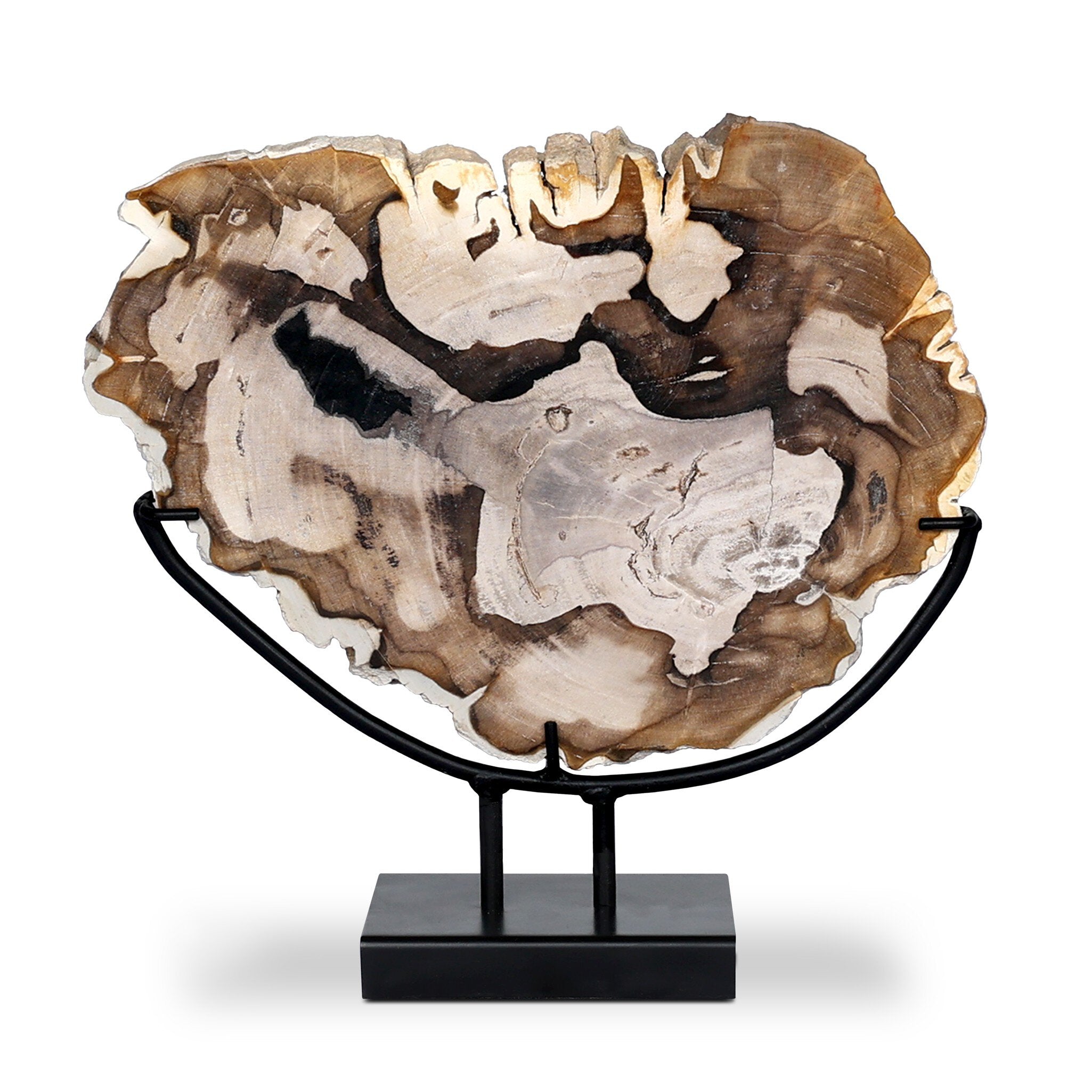 Four Hands Petrified Wood Sculpture — Dark Petrified Wood-Matte Black Iron