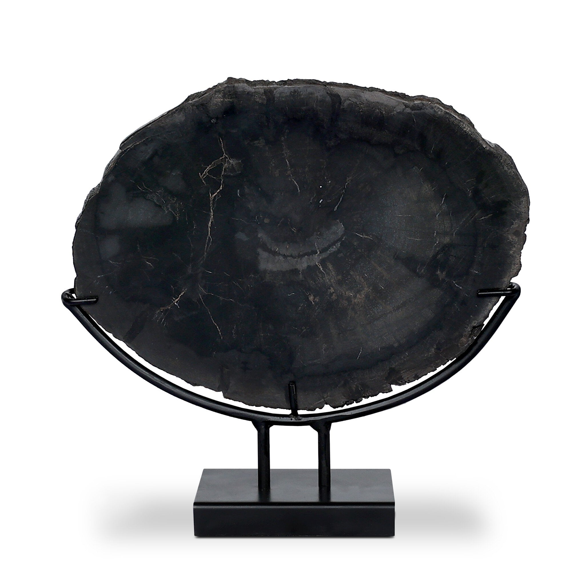 Four Hands Petrified Wood Sculpture — Dark Petrified Wood-Matte Black Iron