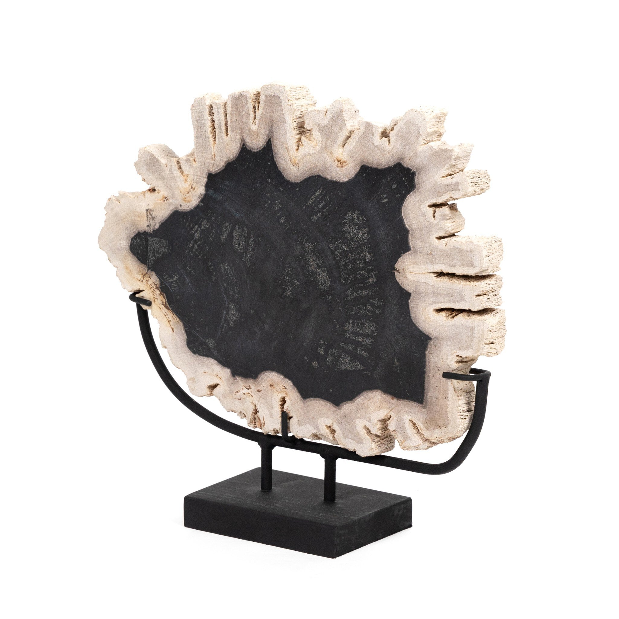 Four Hands Petrified Wood Sculpture — Dark Petrified Wood-Matte Black Iron