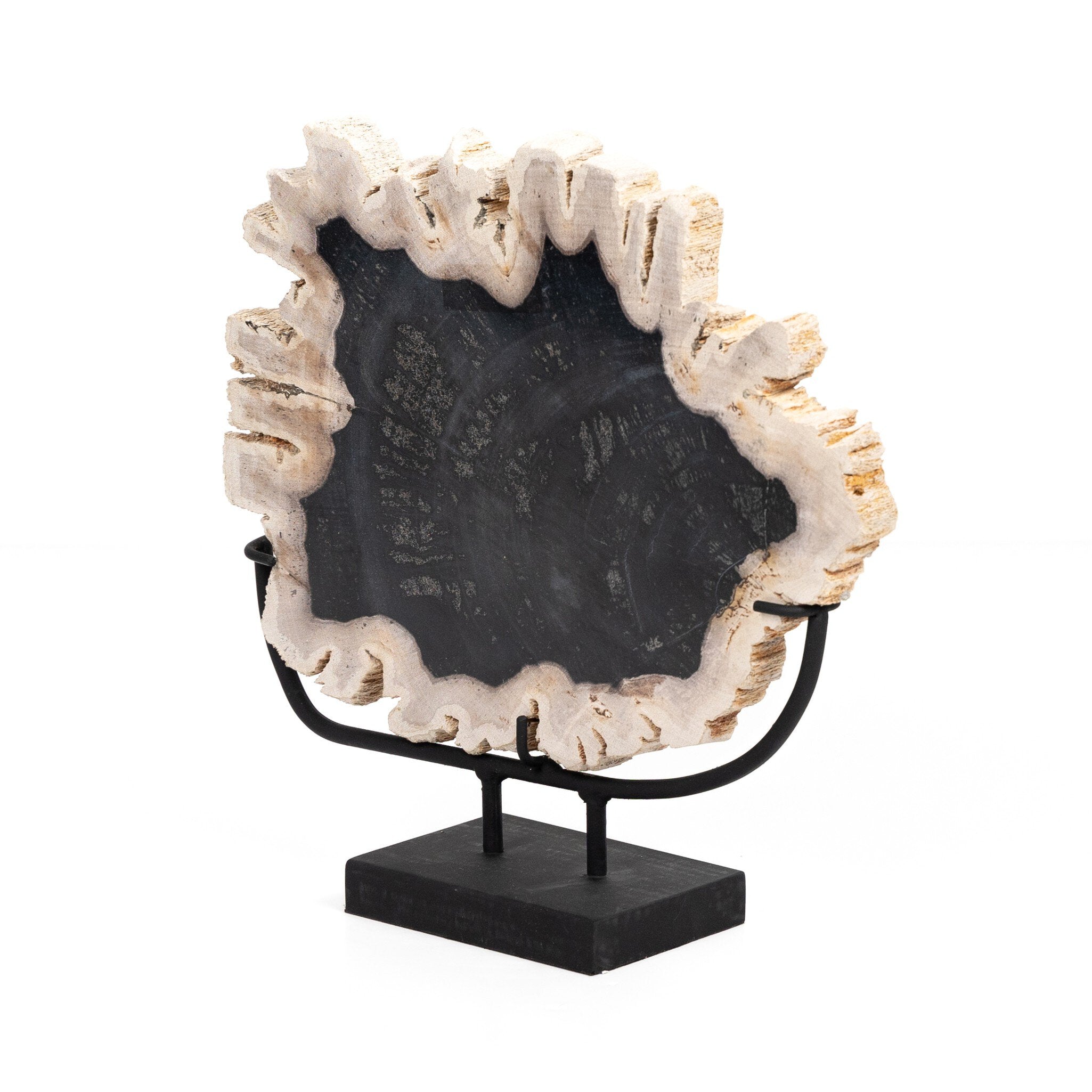 Four Hands Petrified Wood Sculpture — Dark Petrified Wood-Matte Black Iron