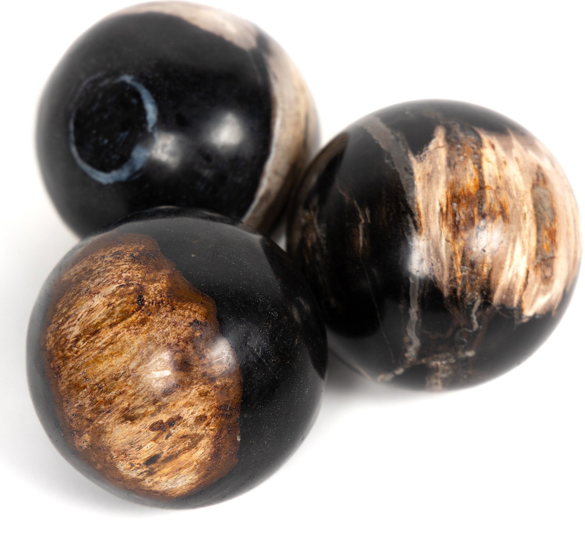 Four Hands Petrified Wood Balls, Set Of 3 — Dark Petrified Wood