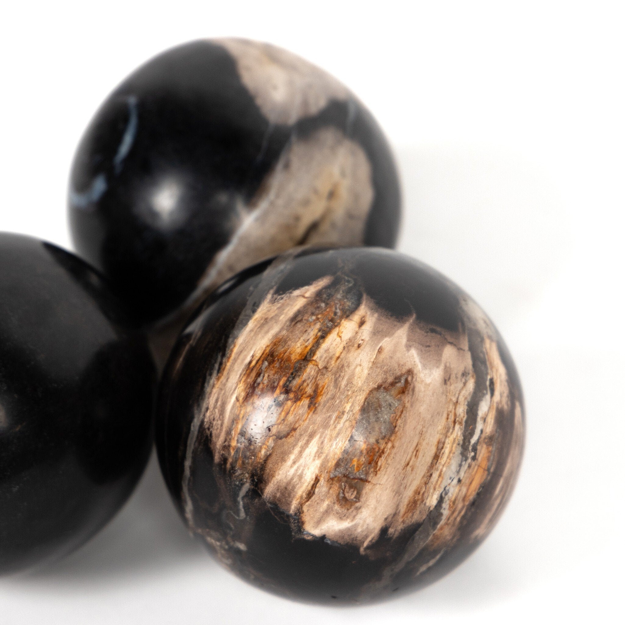 Four Hands Petrified Wood Balls, Set Of 3 — Dark Petrified Wood