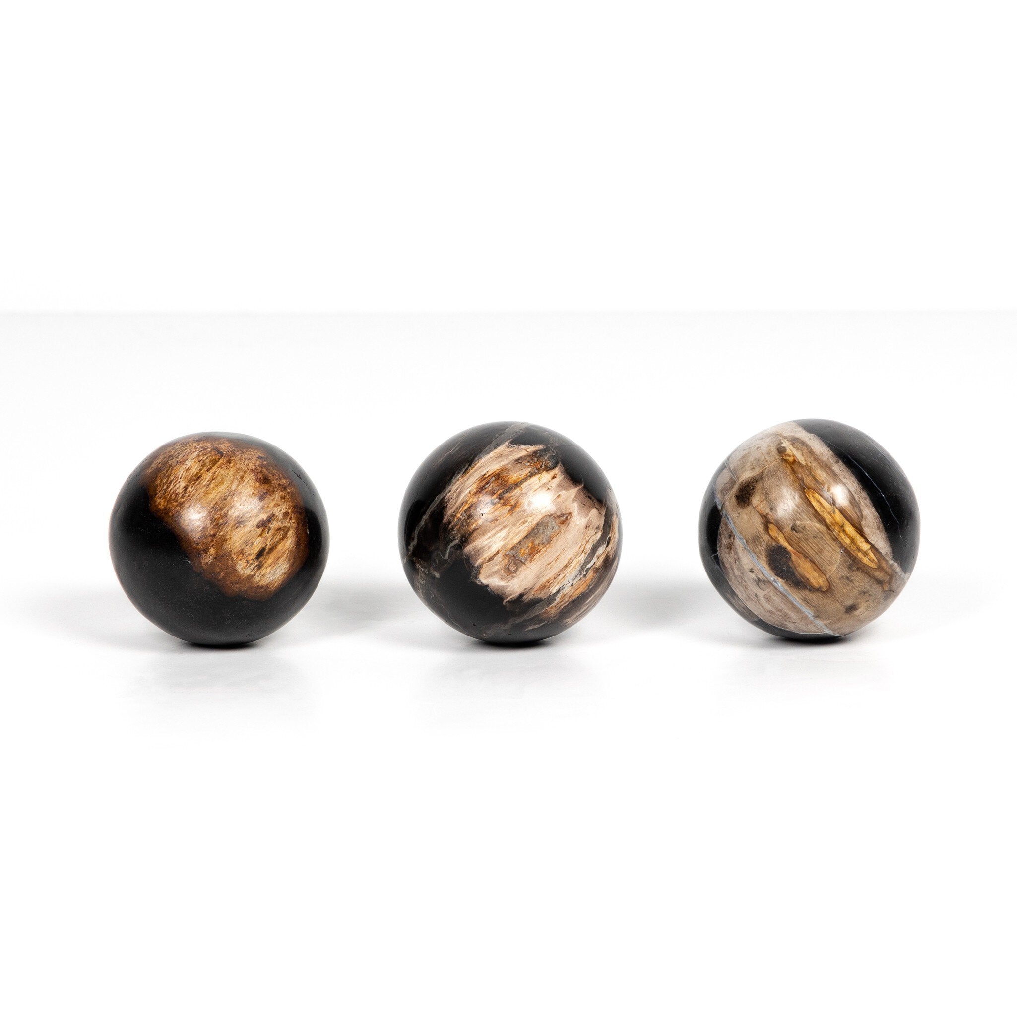 Four Hands Petrified Wood Balls, Set Of 3 — Dark Petrified Wood