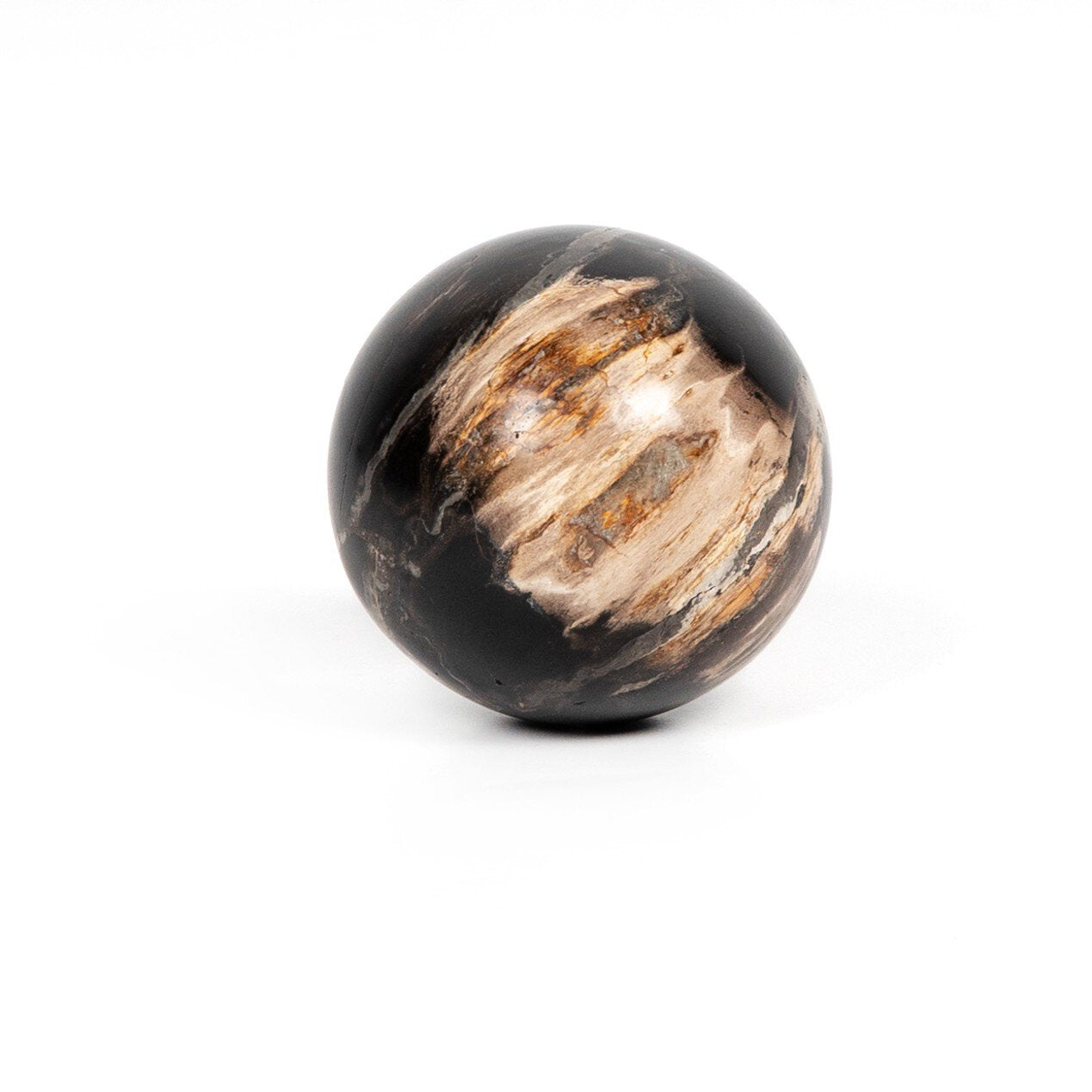 Four Hands Petrified Wood Balls, Set Of 3 — Dark Petrified Wood