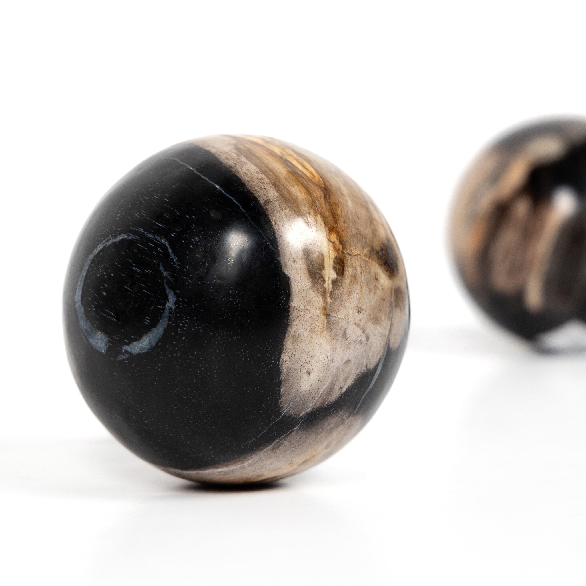 Four Hands Petrified Wood Balls, Set Of 3 — Dark Petrified Wood