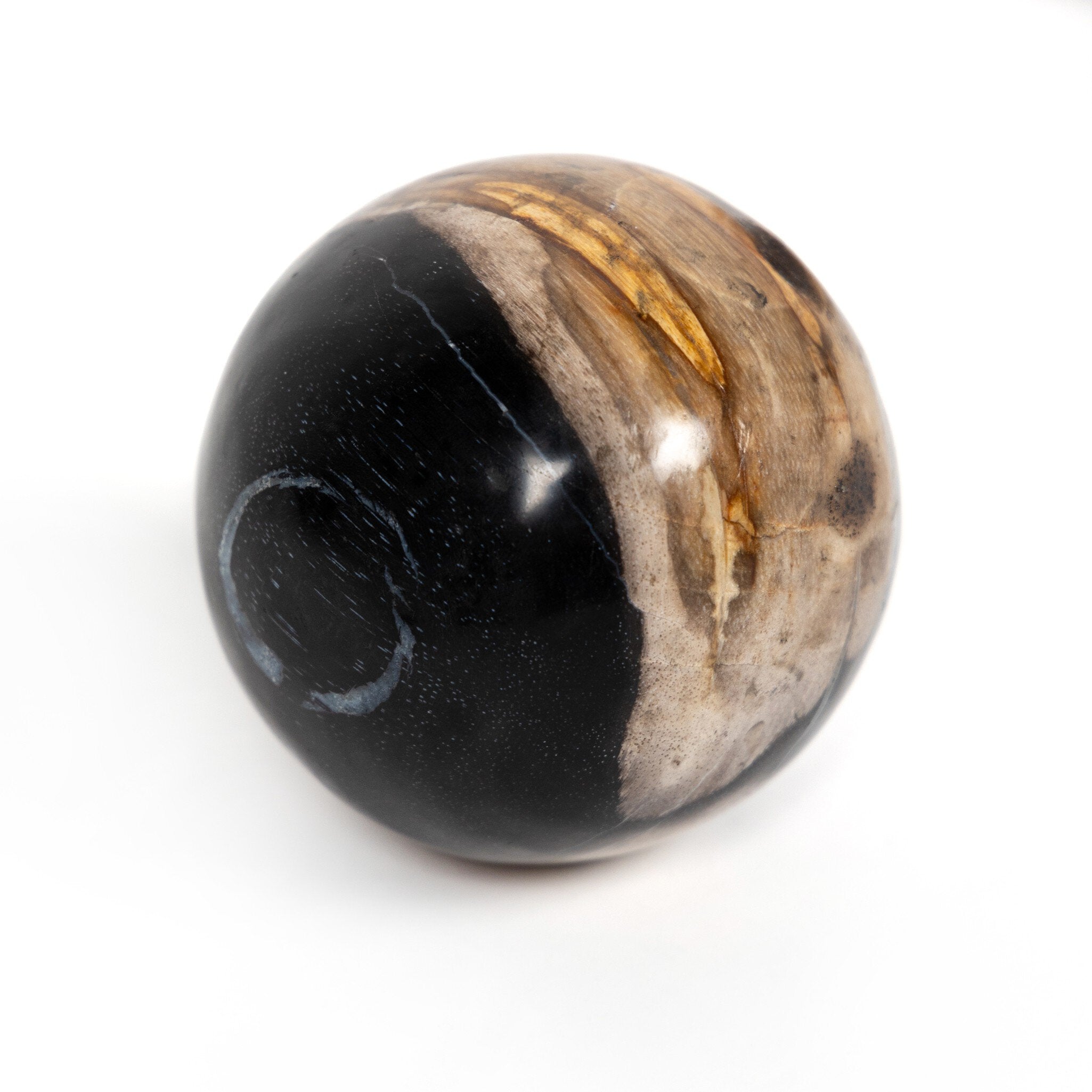 Four Hands Petrified Wood Balls, Set Of 3 — Dark Petrified Wood