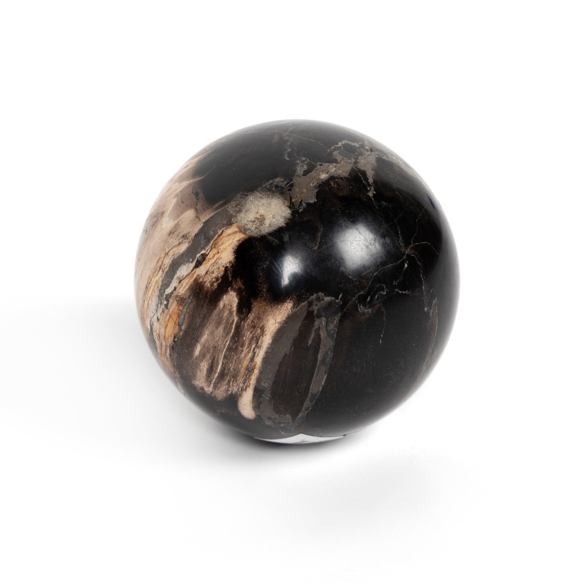 Four Hands Petrified Wood Balls, Set Of 3 — Dark Petrified Wood