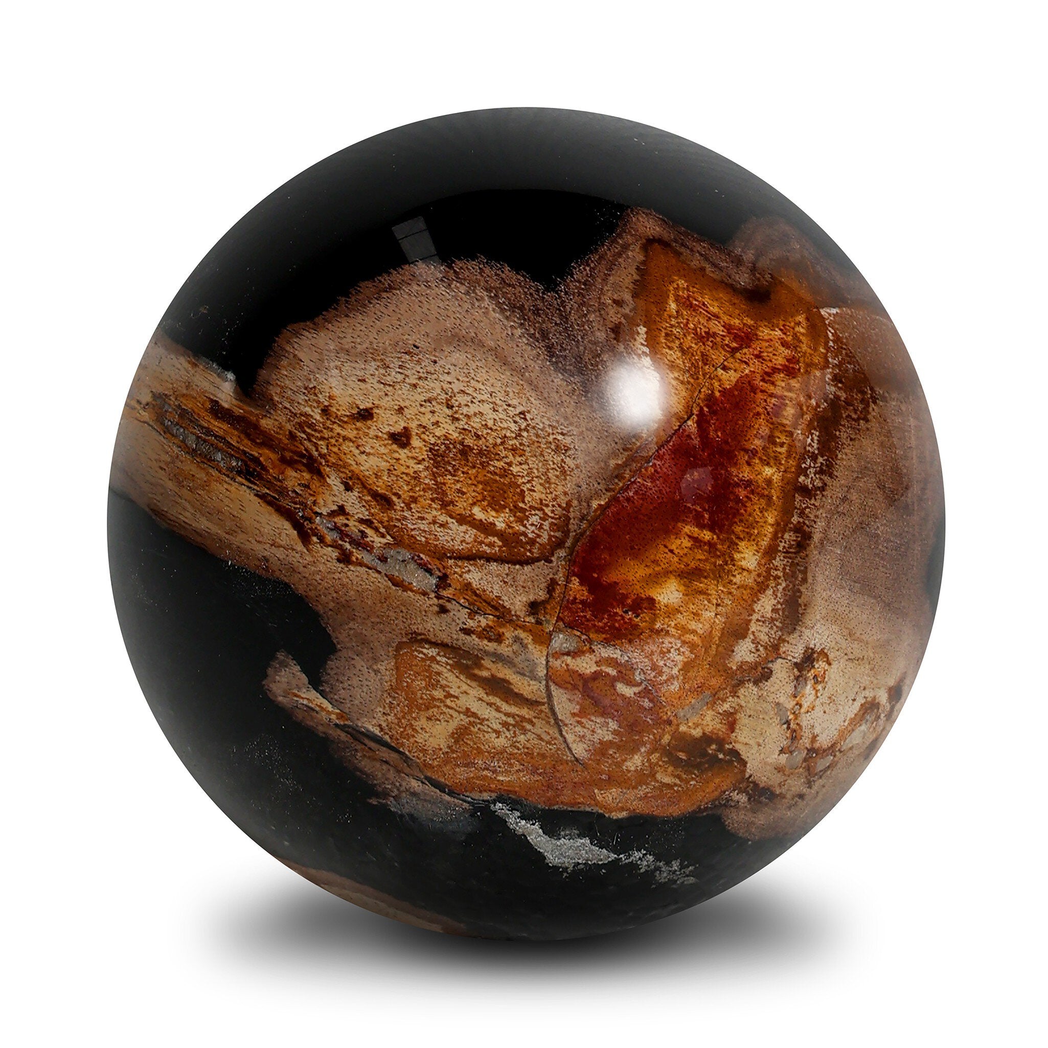 Four Hands Petrified Wood Balls, Set Of 3 — Dark Petrified Wood