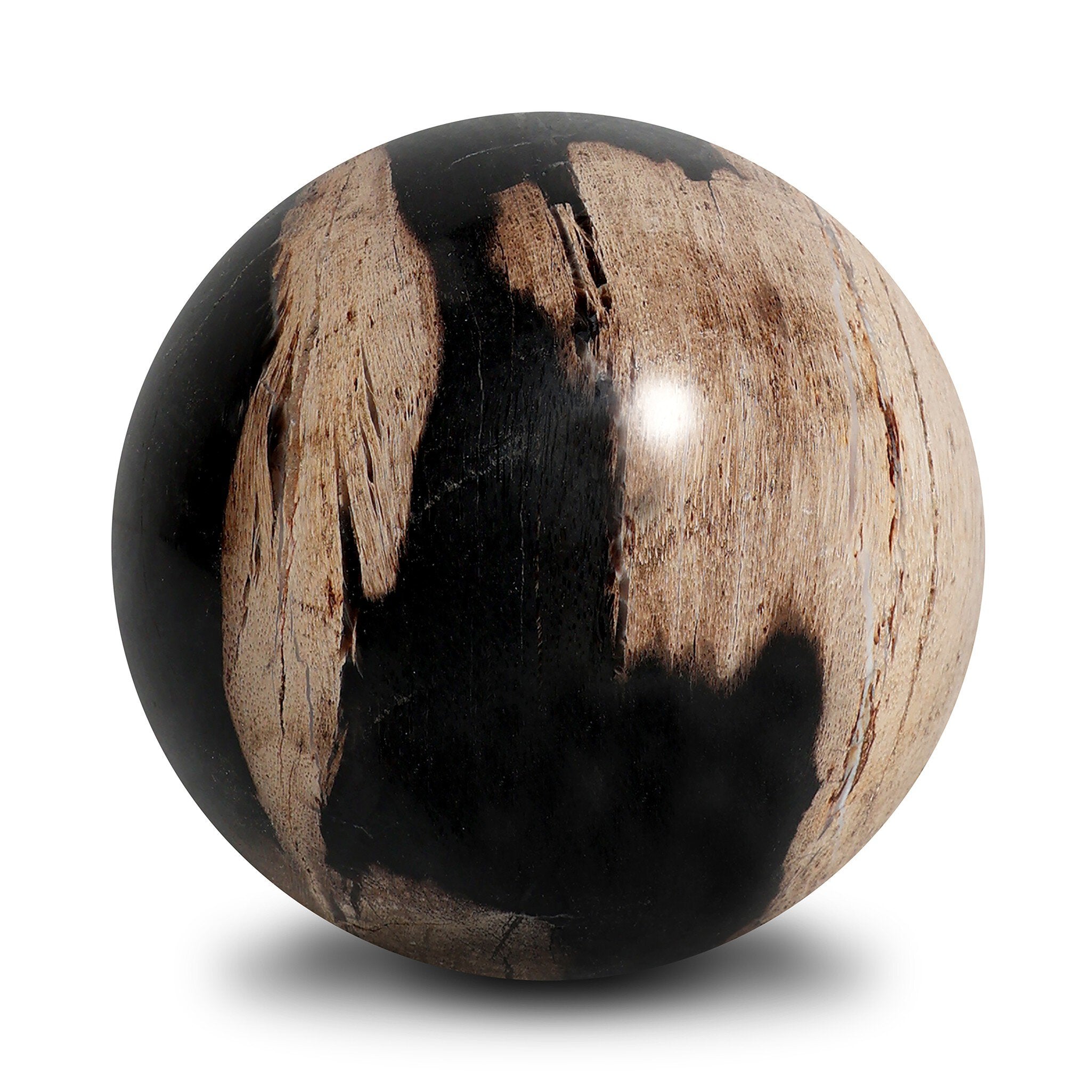 Four Hands Petrified Wood Balls, Set Of 3 — Dark Petrified Wood