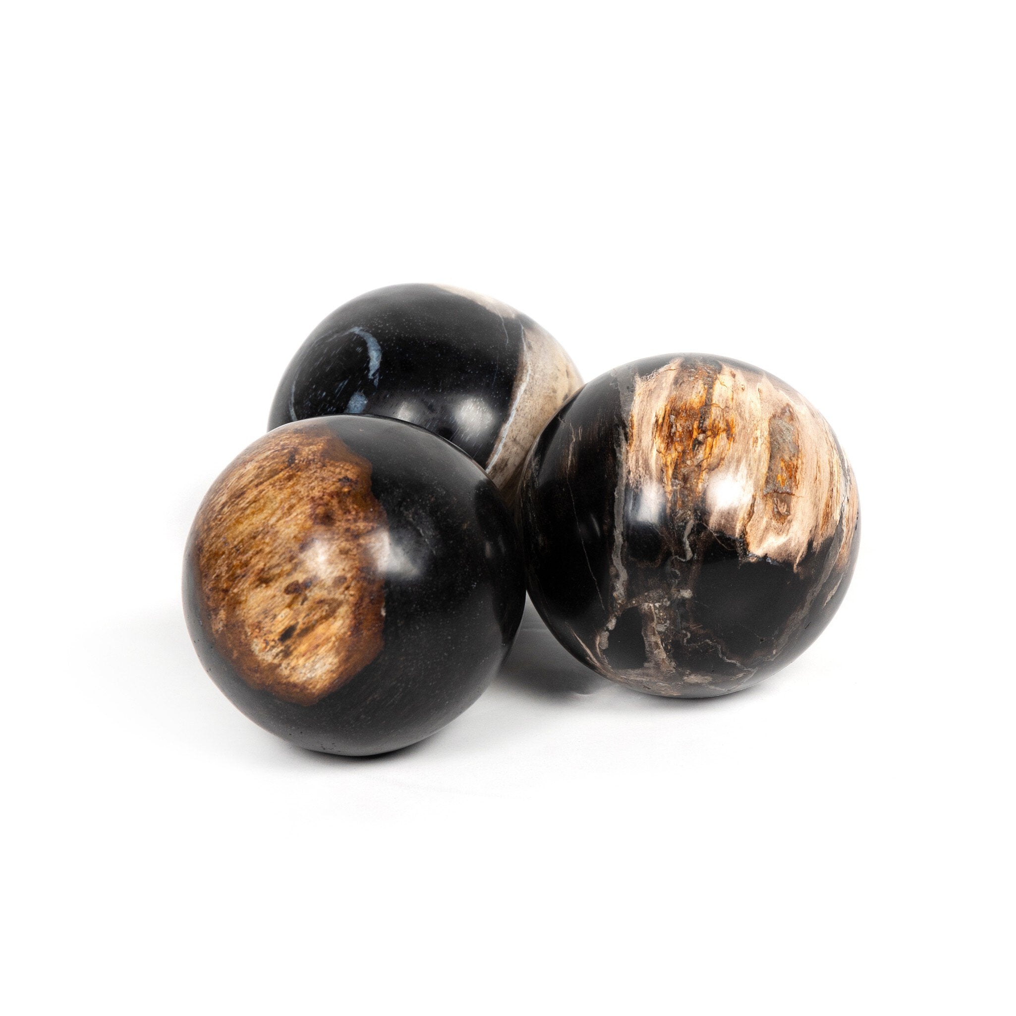 Four Hands Petrified Wood Balls, Set Of 3 — Dark Petrified Wood