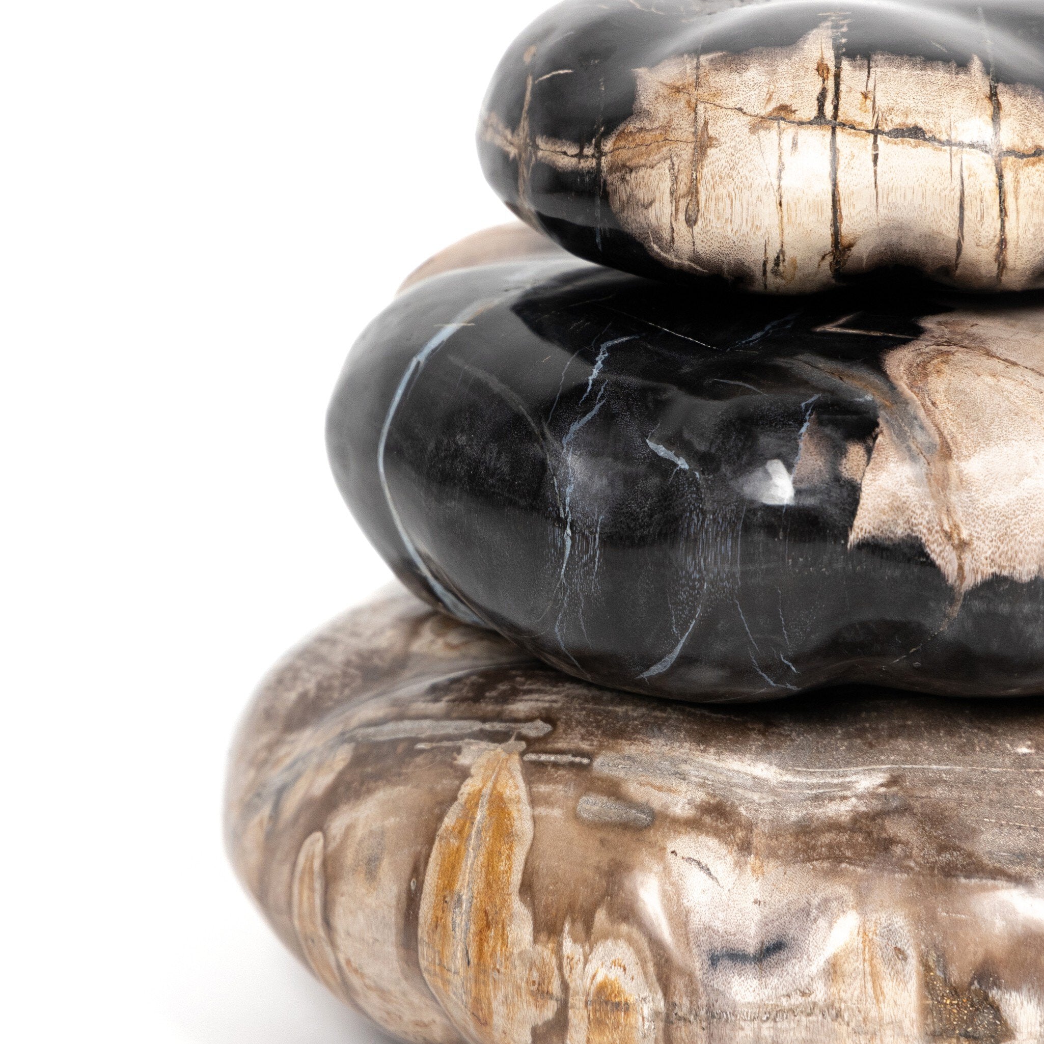 Four Hands Petrified Wood Organic Sculpture, Set Of 3 — Dark Petrified Wood