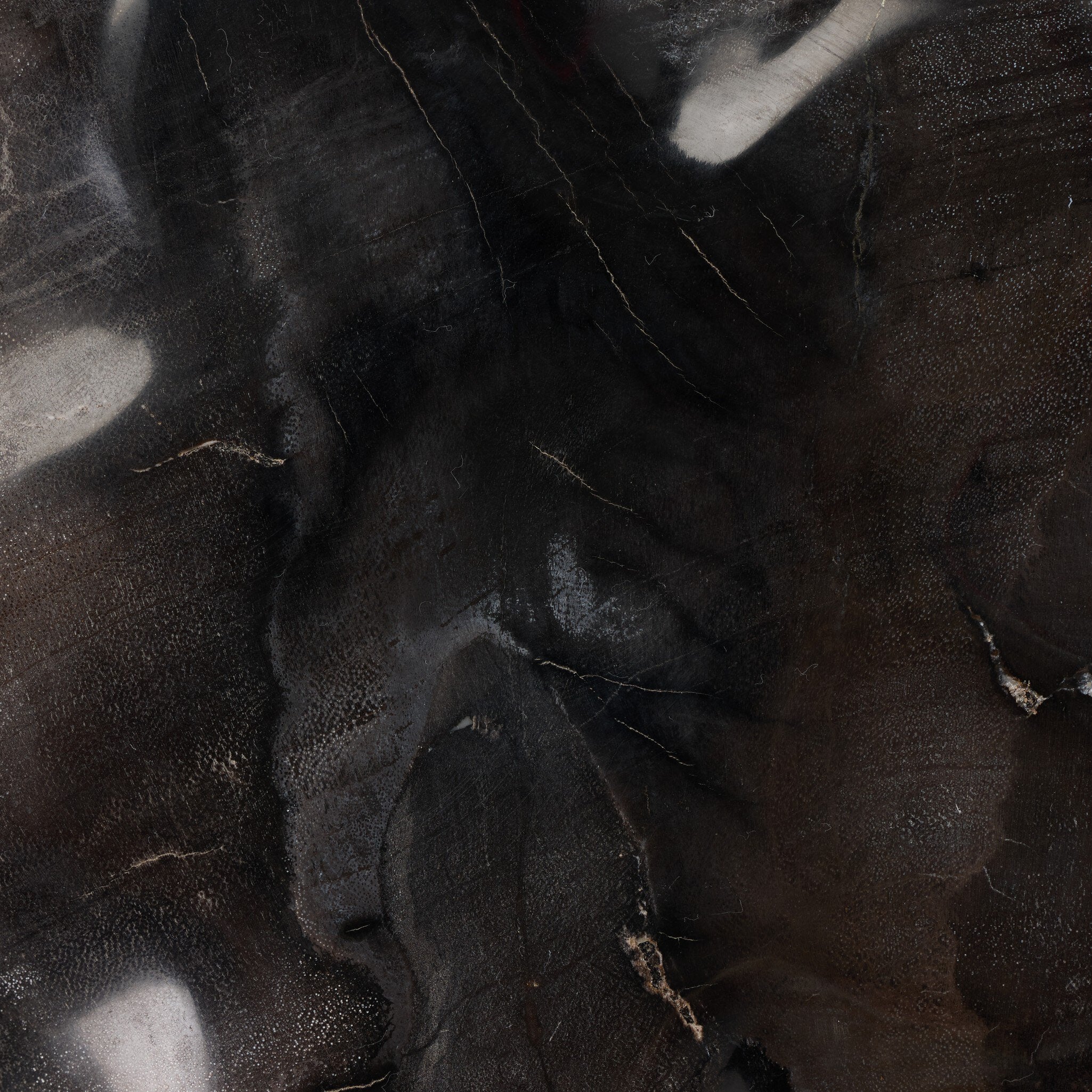 Four Hands Petrified Wood Organic Sculpture, Set Of 3 — Dark Petrified Wood