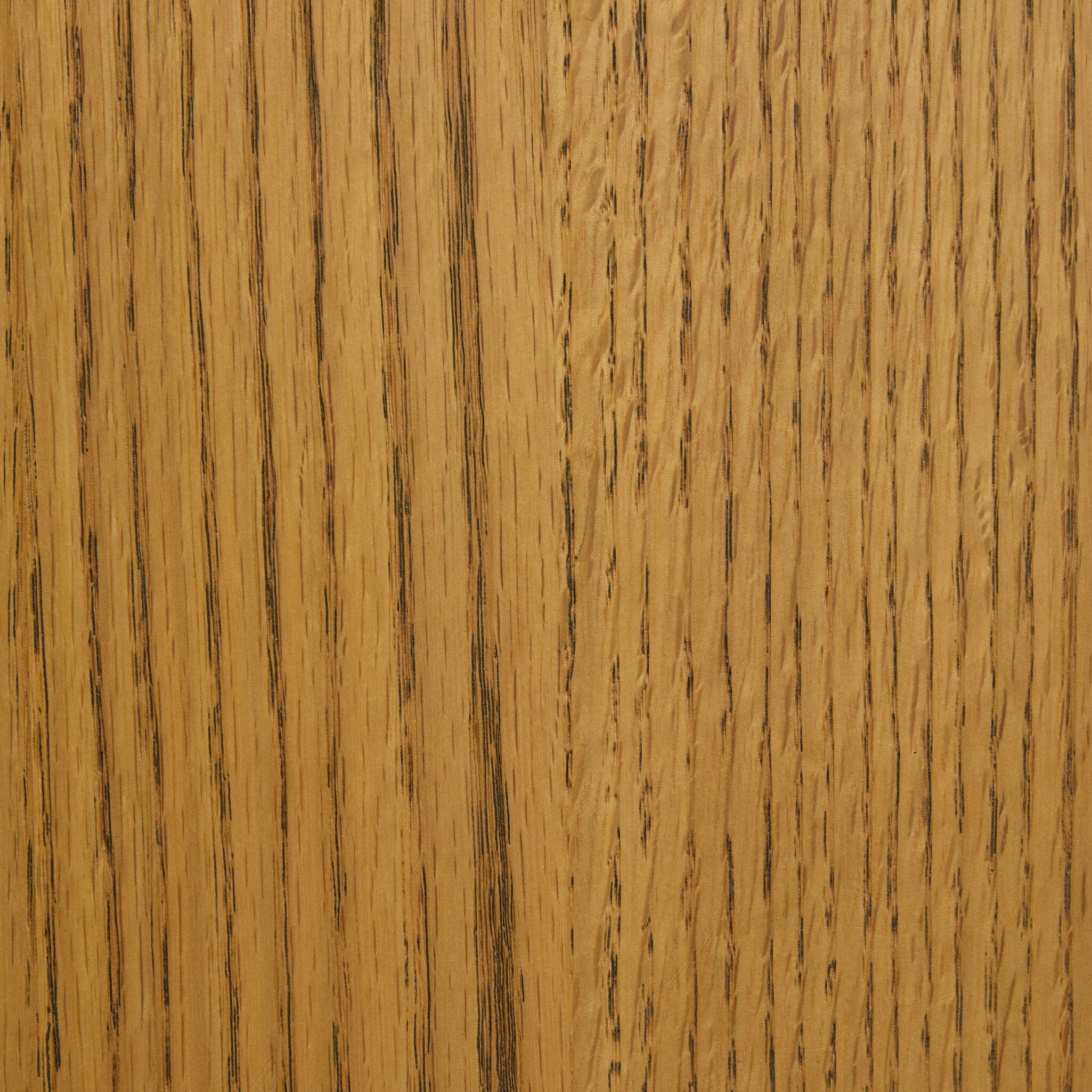 Four Hands Ripley Dining Chair — Sandy Oak-Antwerp Natural-Sandy Oak Veneer