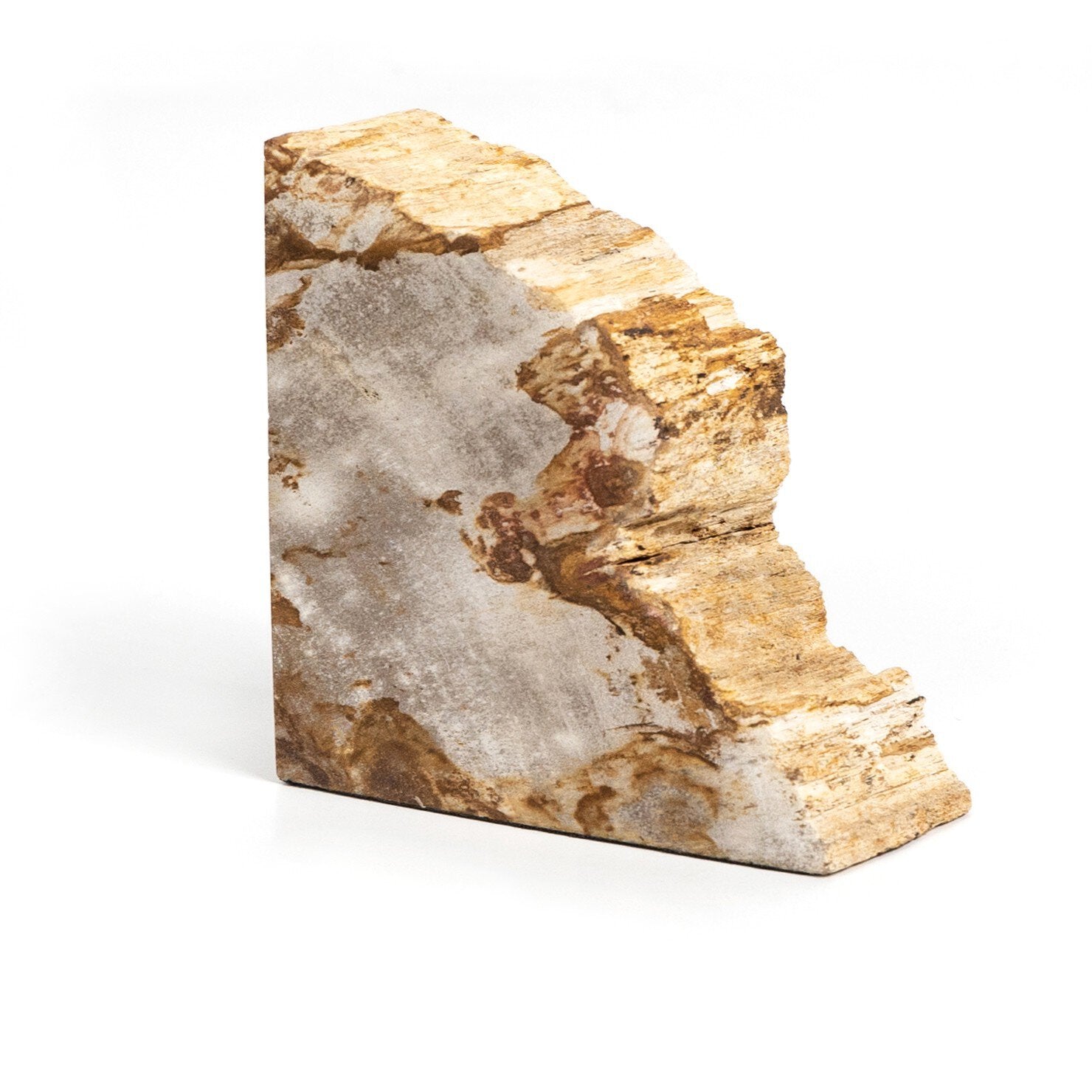 Four Hands Petrified Wood Book Ends — Light Petrified Wood
