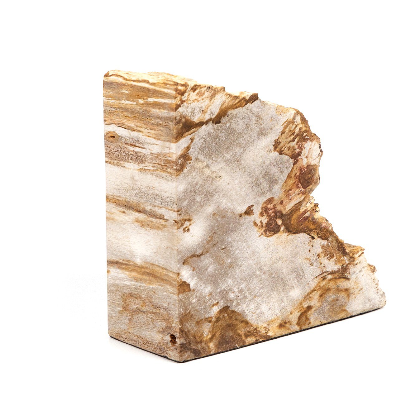 Four Hands Petrified Wood Book Ends — Light Petrified Wood