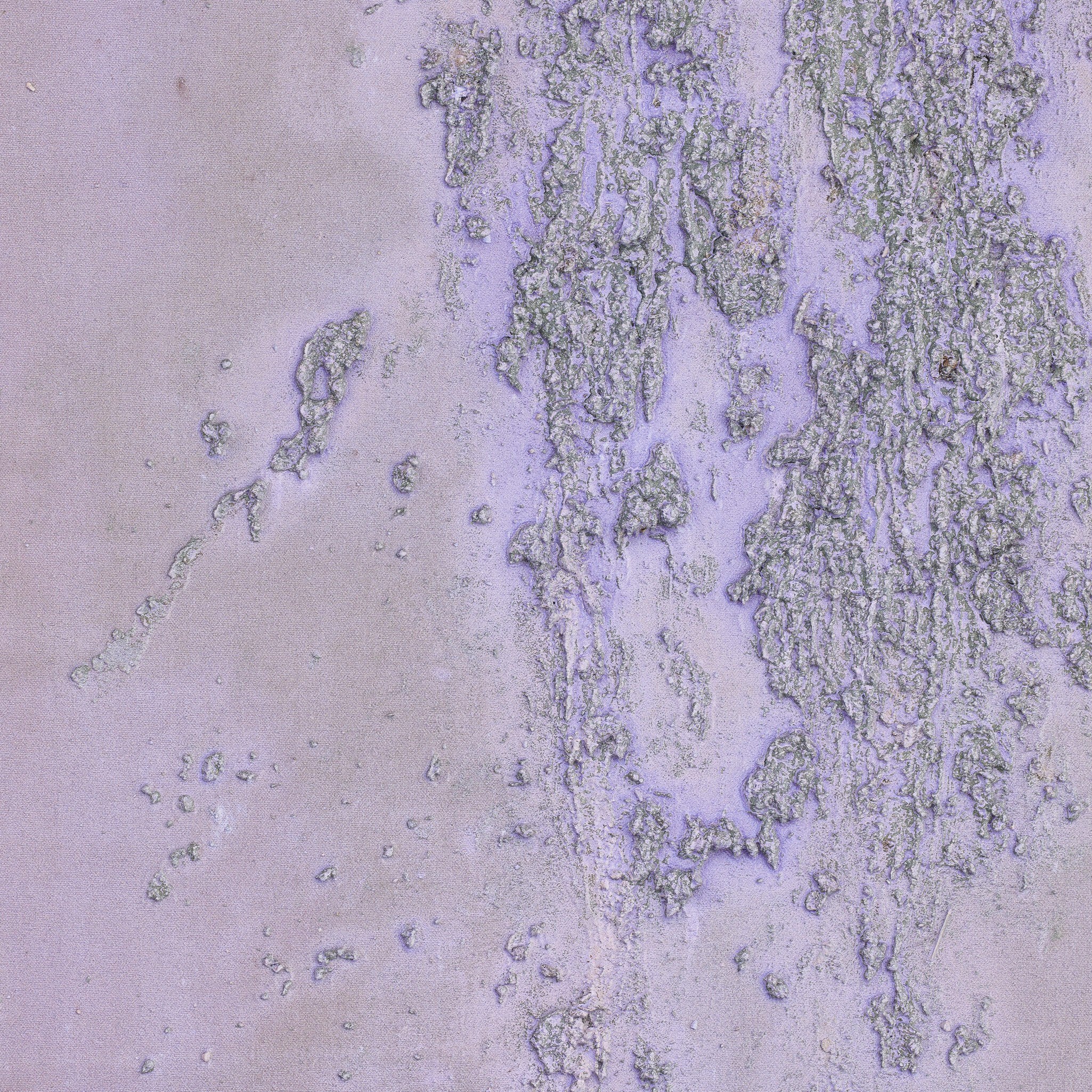 Four Hands Where The Wild Lilacs Grow by Tyler Guinn — 242609-003 - 32.0x40.0-Vertical Grain White Oak Floater-Large