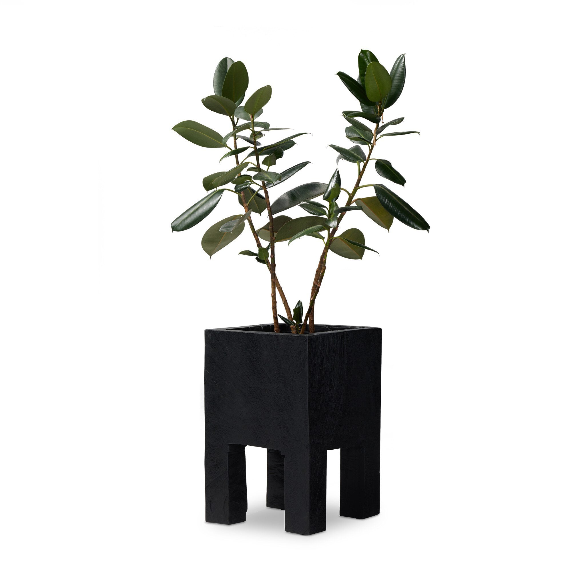 Four Hands Tora Planter — Carbonized Black
