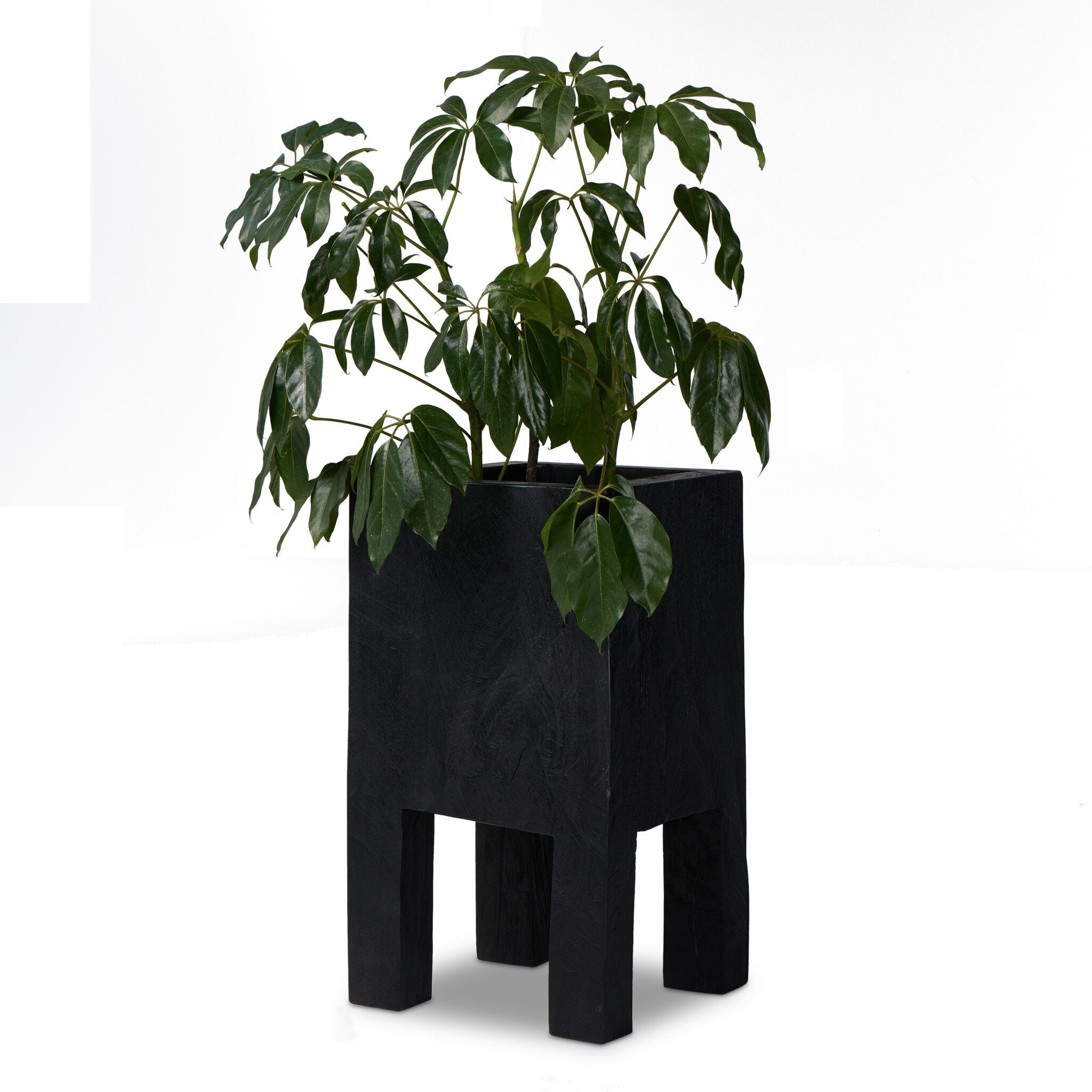 Four Hands Tora Planter — Carbonized Black