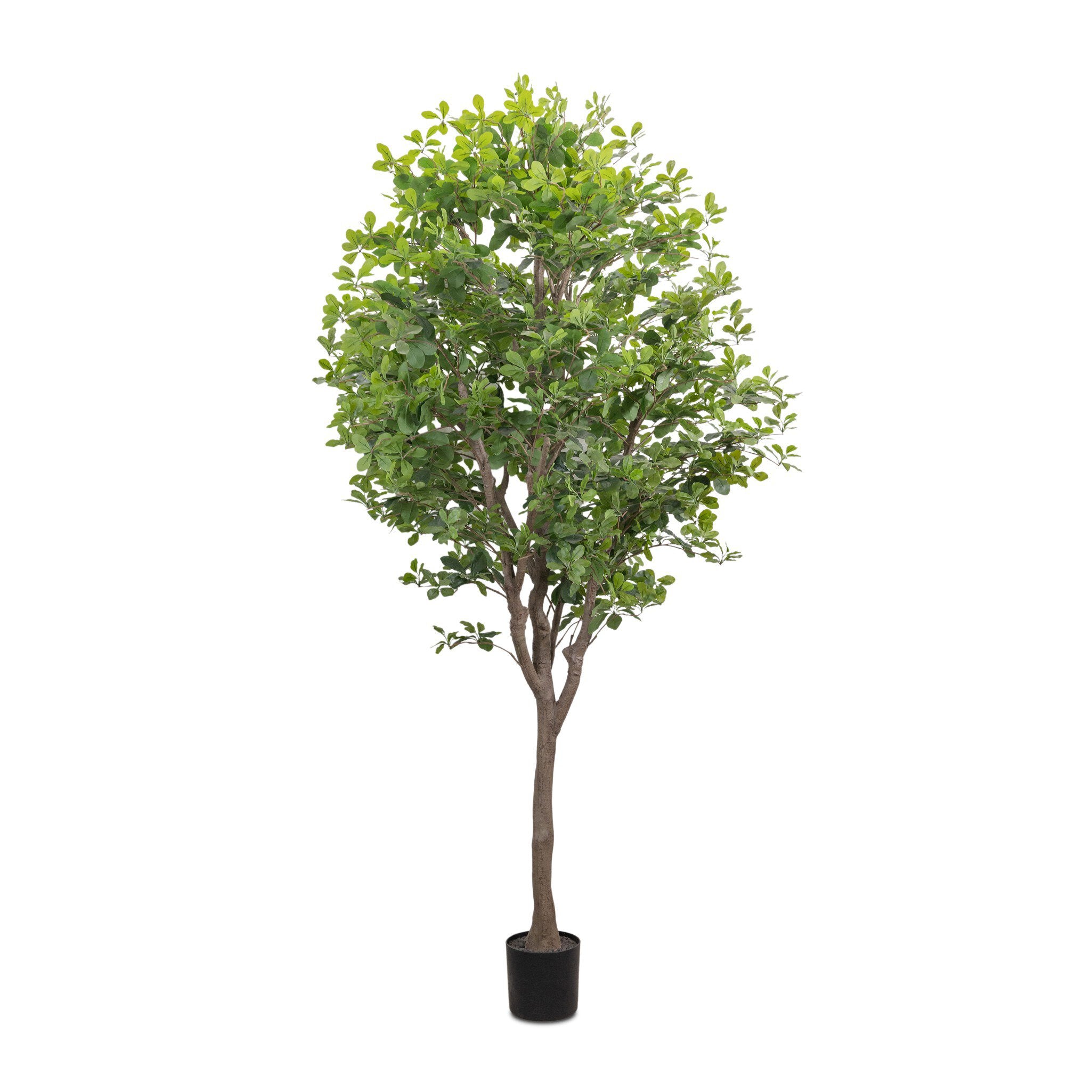 Four Hands Faux Aralia Tree — Faux Aralia Tree-8'