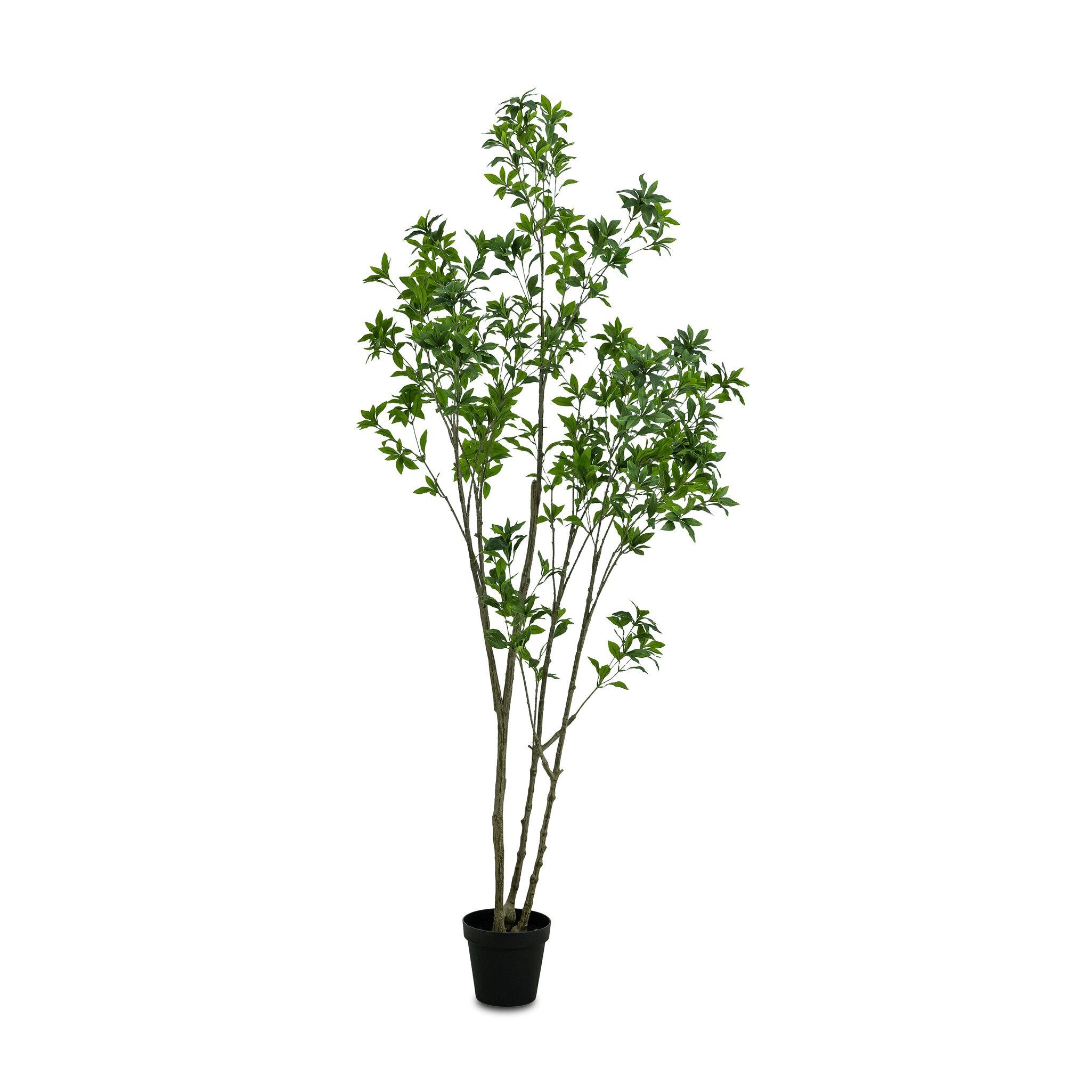 Four Hands Faux Pieris Tree — Faux Pieris Tree-8'