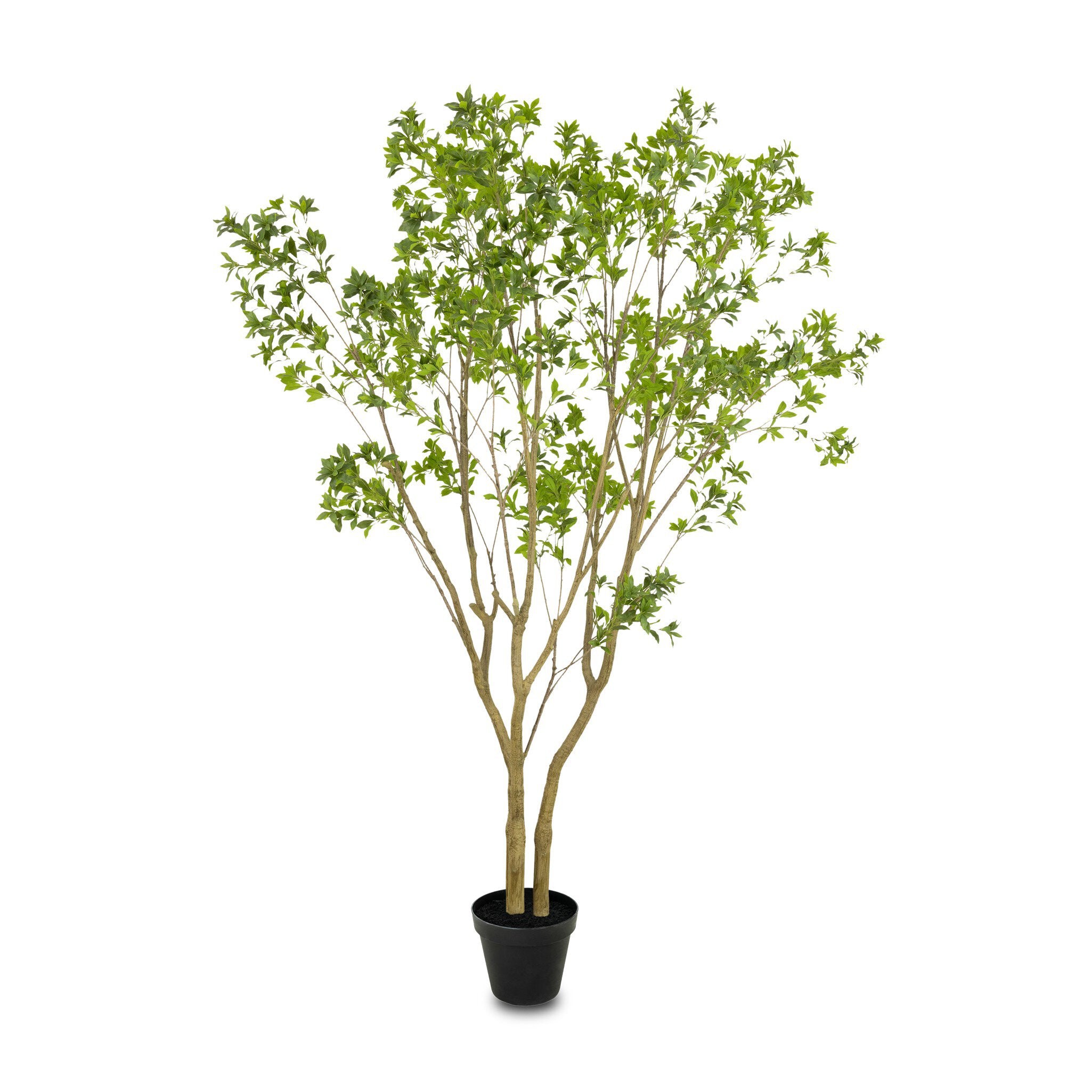 Four Hands Faux Pieris Tree — Faux Pieris Tree-9.5'