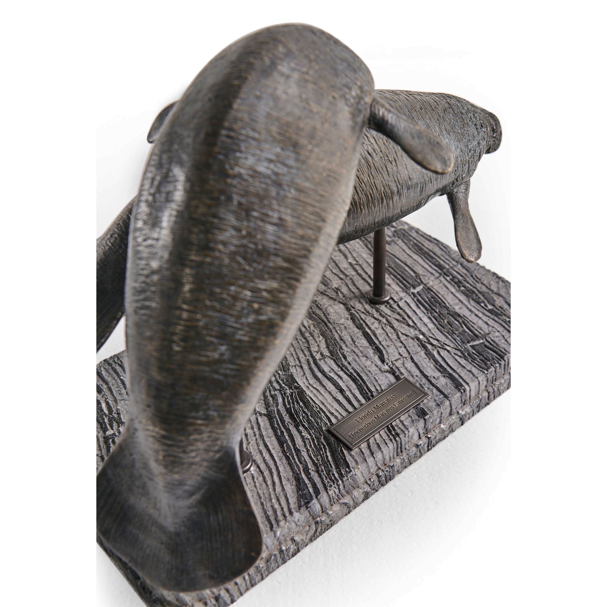 Jonathan Charles Raised Manatee Bronze Statue w Marble B