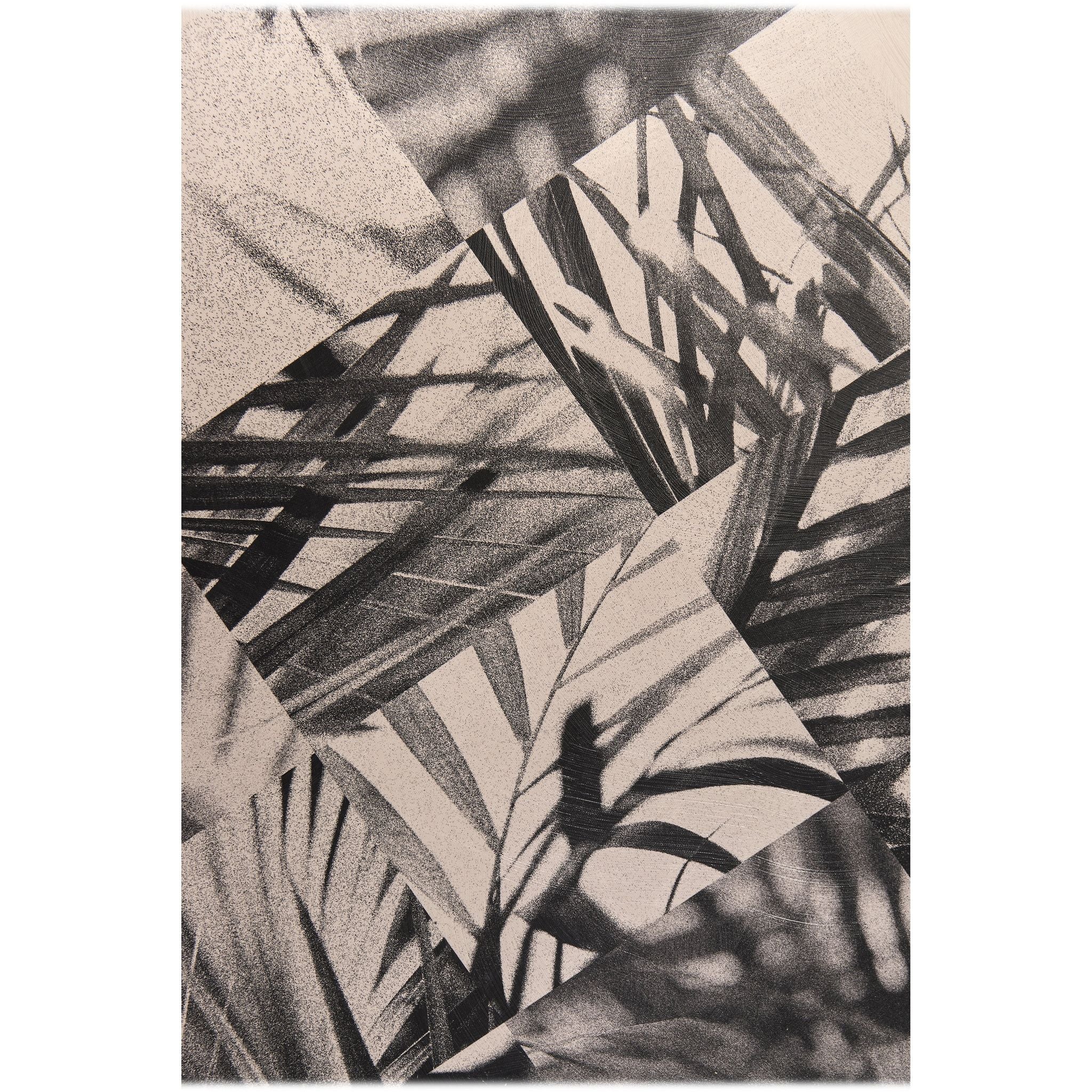Jonathan Charles Palm Shadow