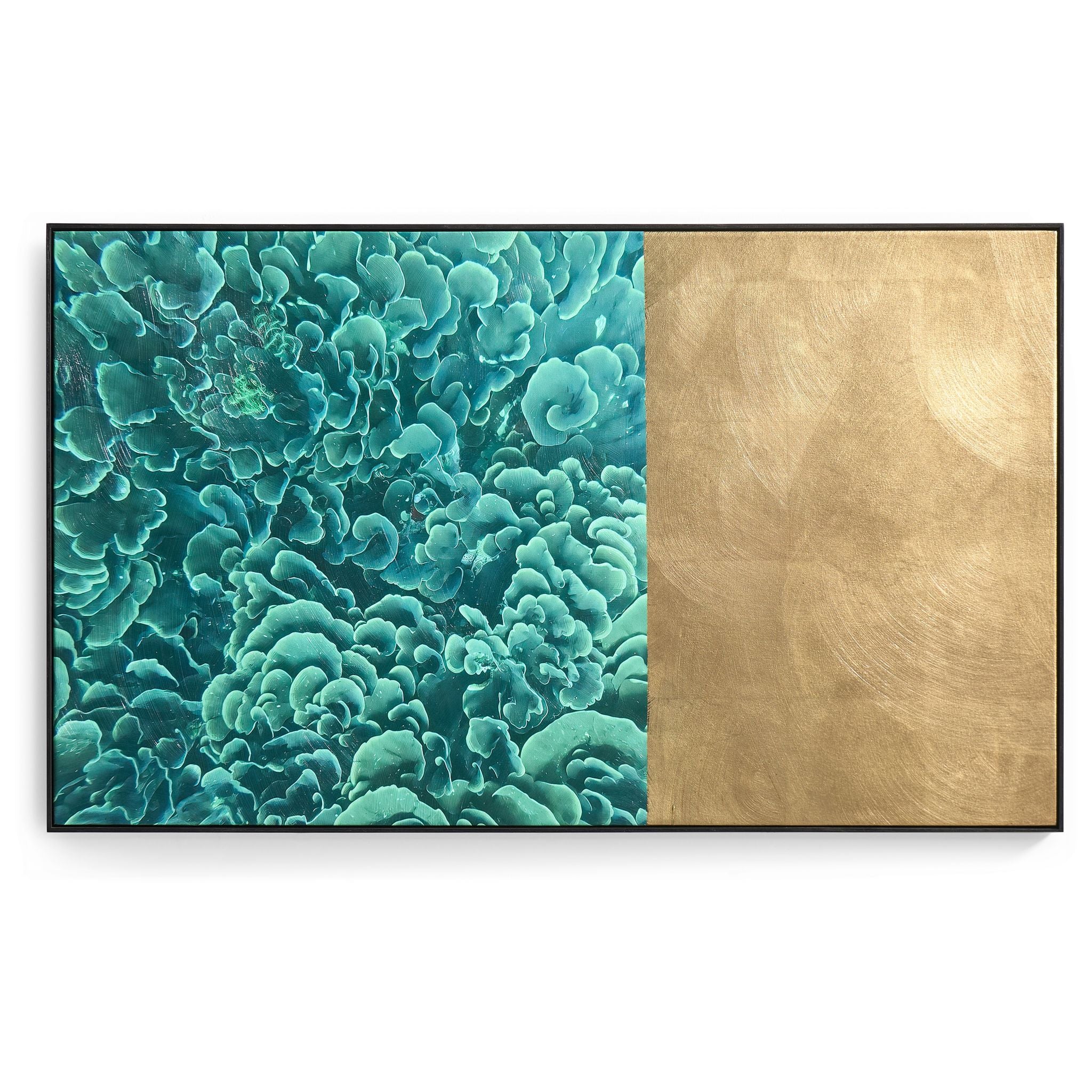 Jonathan Charles Emerald Coral