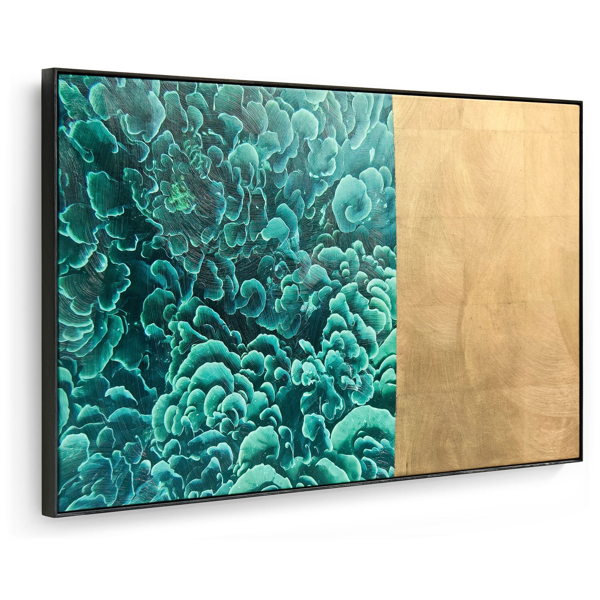 Jonathan Charles Emerald Coral