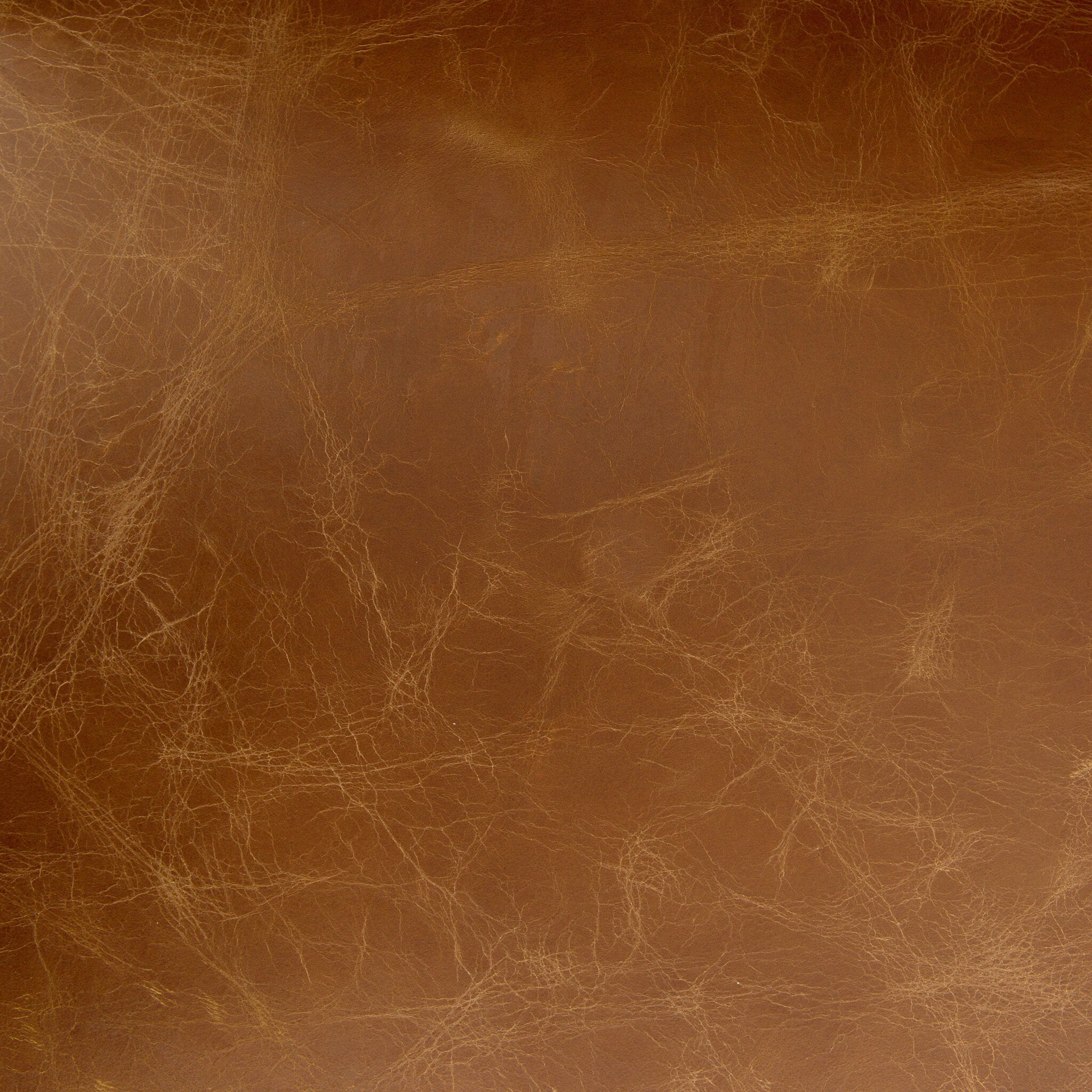 Four Hands Aria Stool — Sienna Chestnut-Warm Oak-Counter