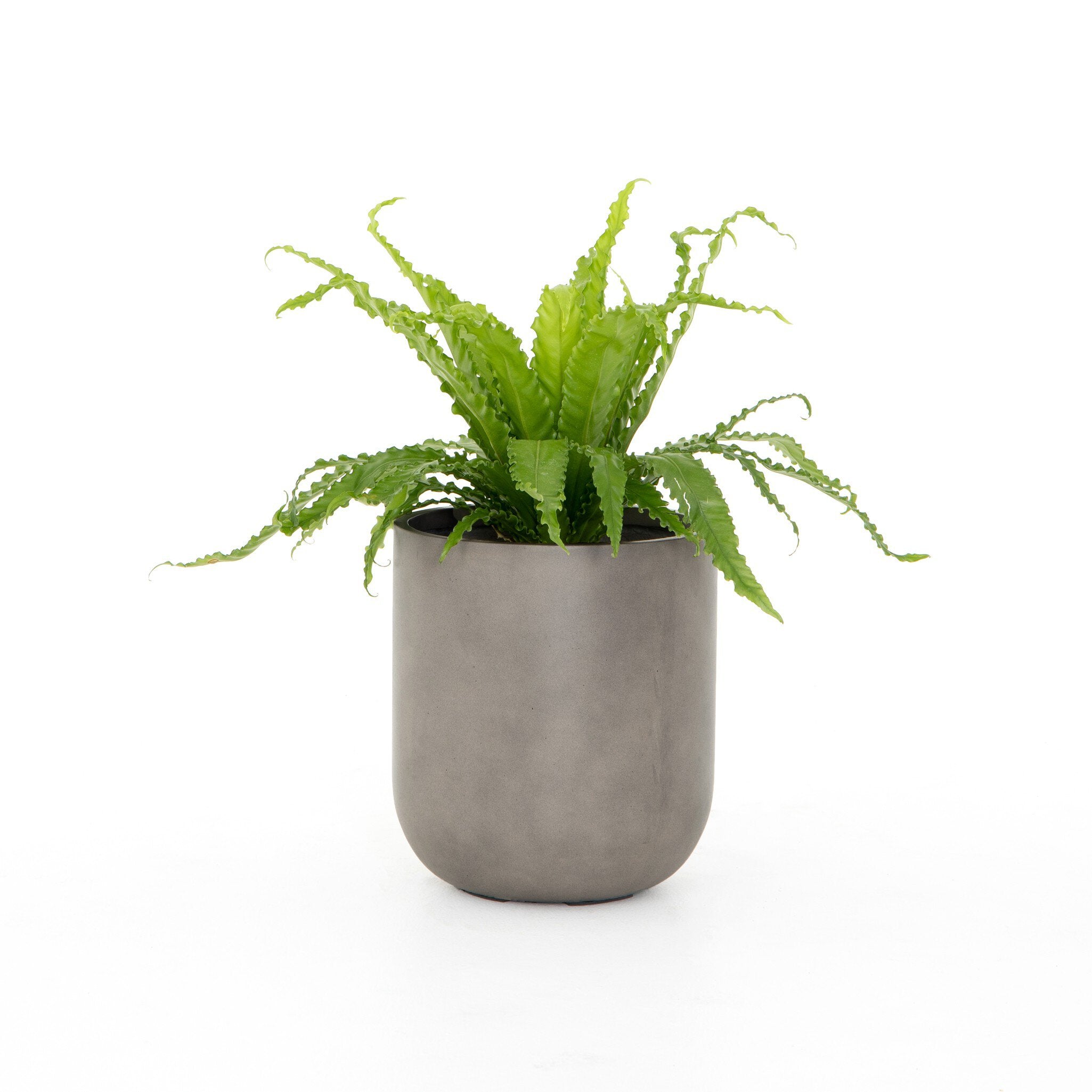 Four Hands Ivan Round Planter — Grey Concrete