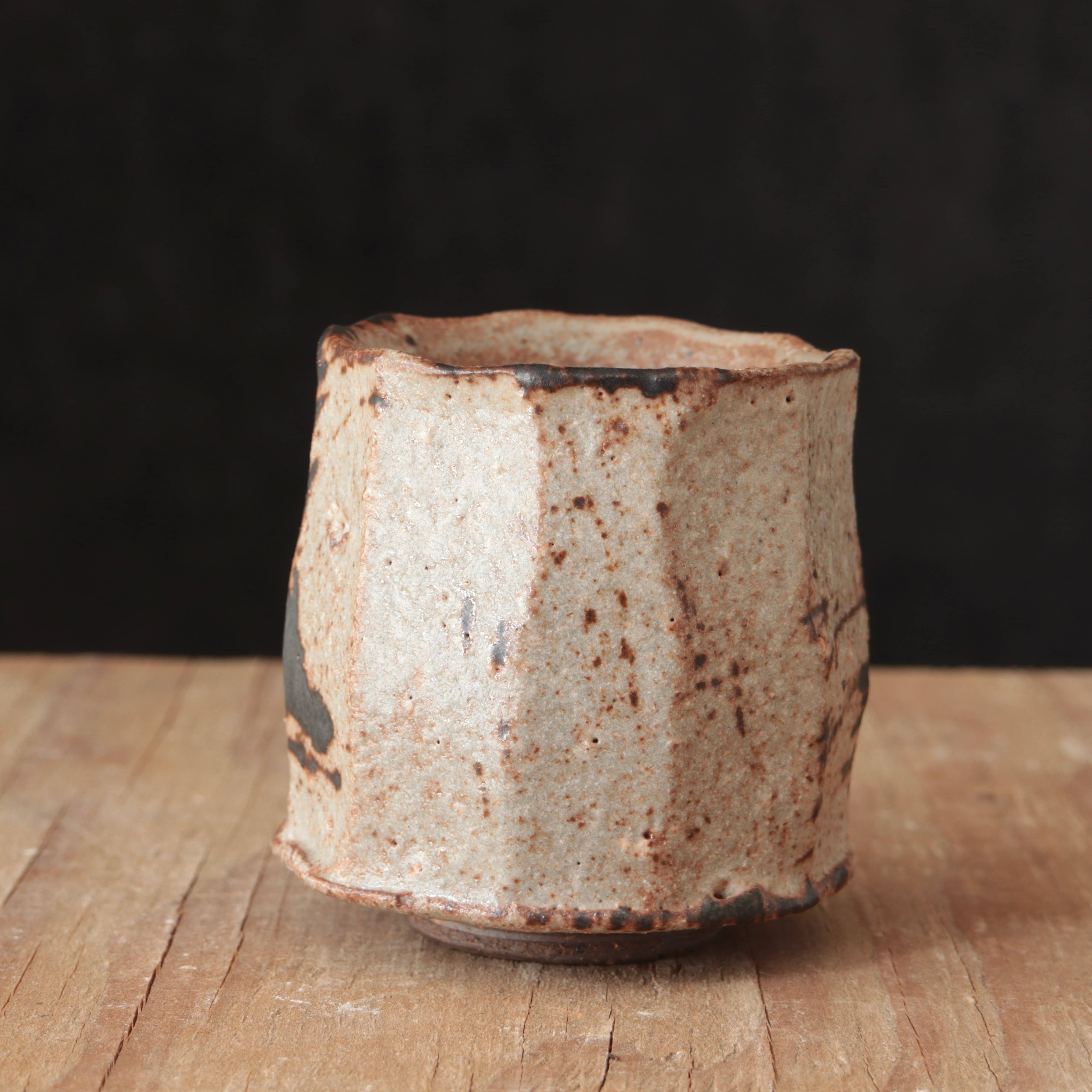 Matt Fishman Pottery Wild Clay and Glaze Teacup Granite Glaze