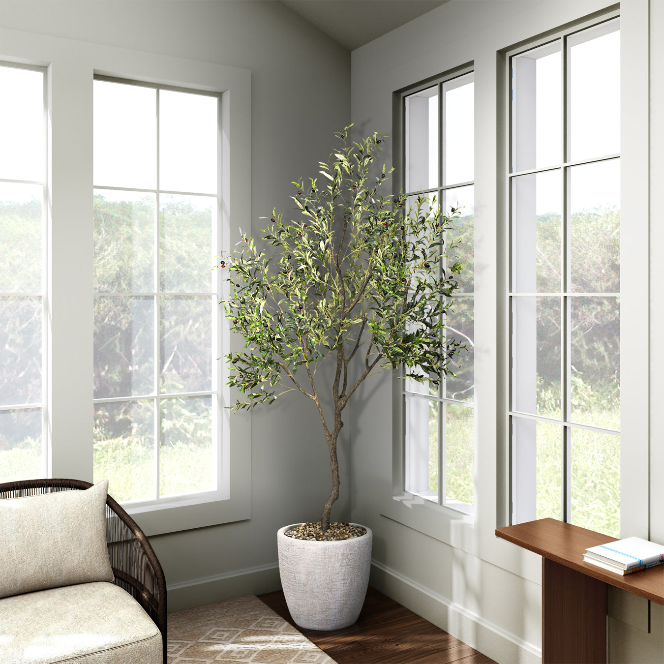 DW Silks Olive Tree 8′ — White Hudson Planter